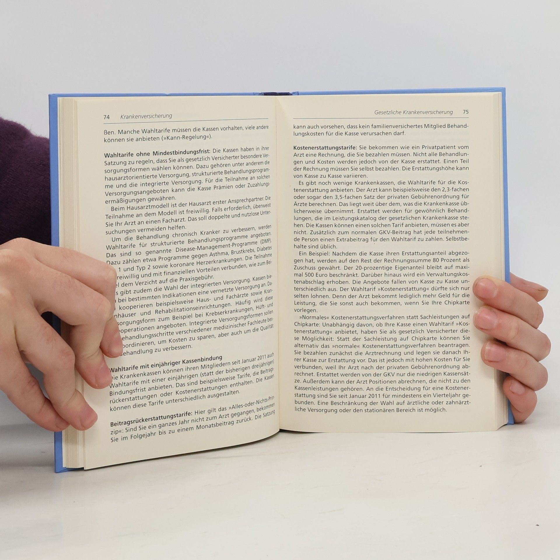 Kolektiv autorů Leitfaden Versicherungen