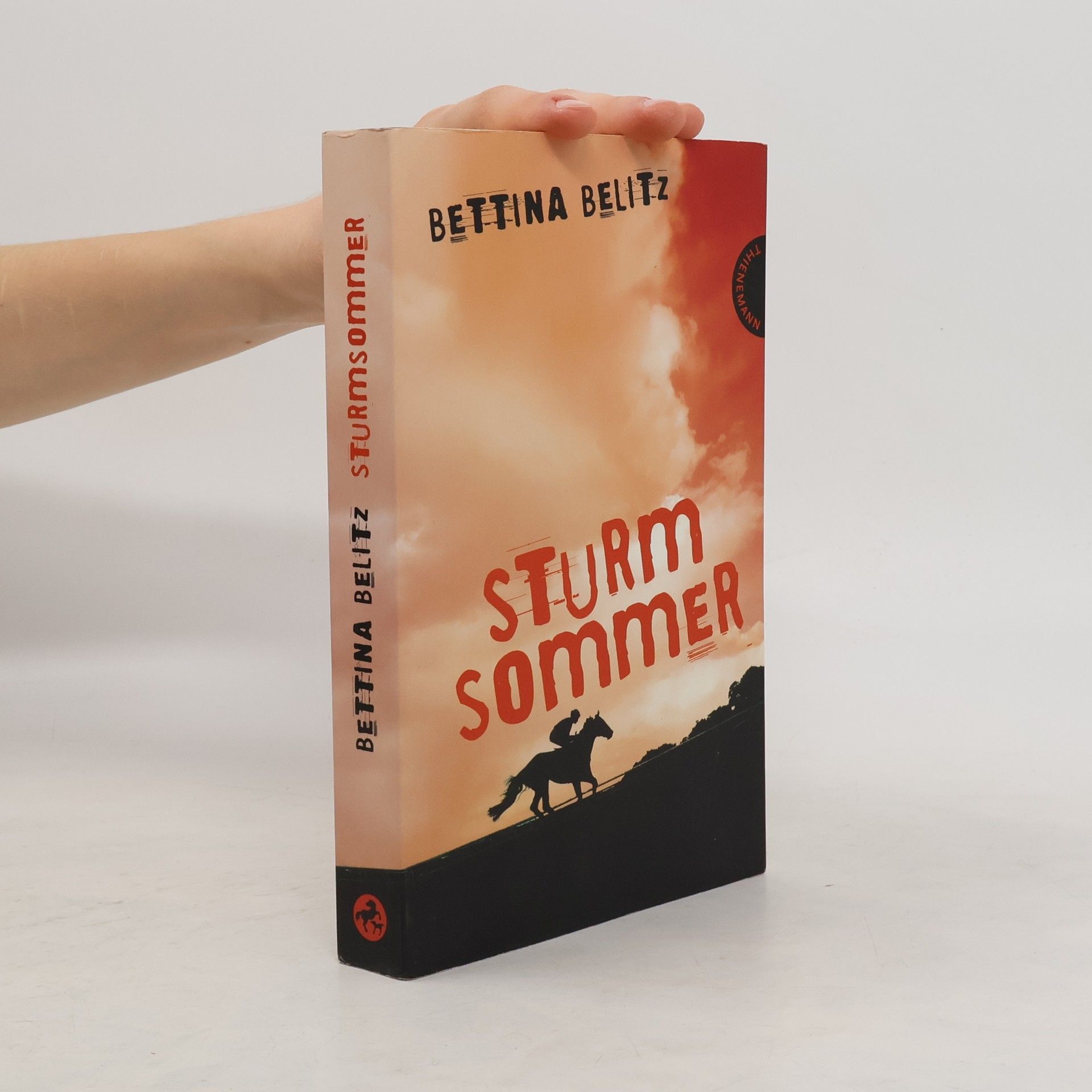 Bettina Belitz Sturmsommer