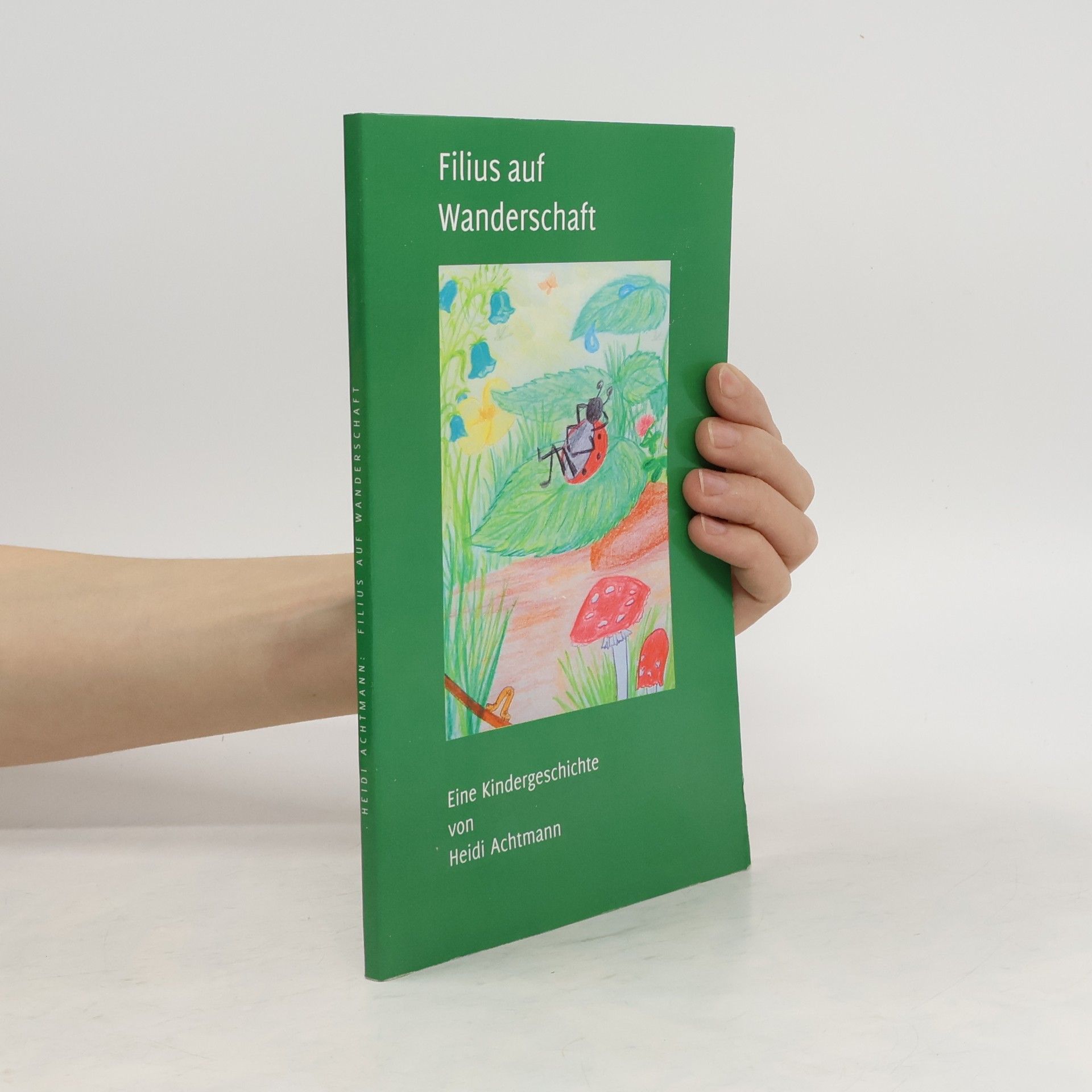 Heidi Achtmann Filius auf Wanderschaft