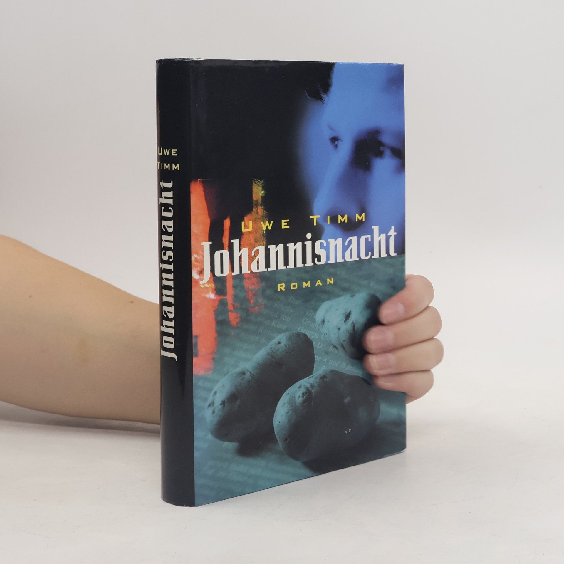 Uwe Timm Johannisnacht