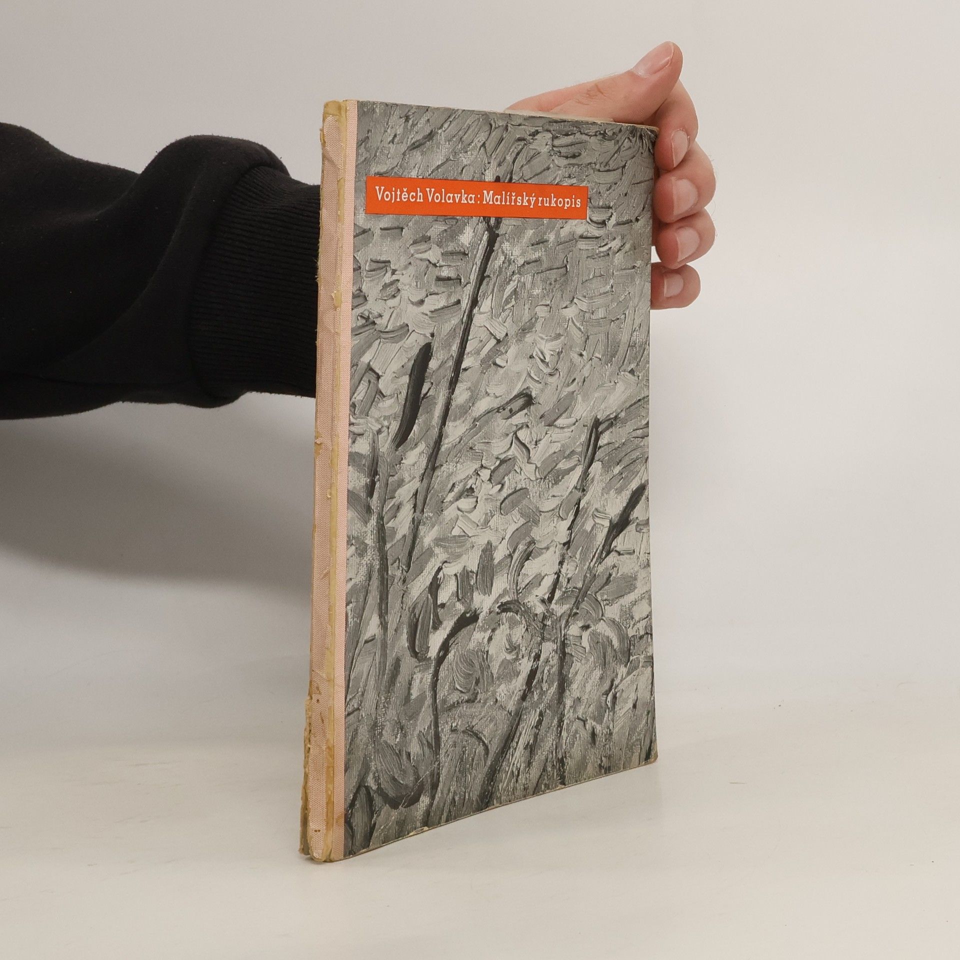 Malířský rukopis ve francouzském obraze nové doby