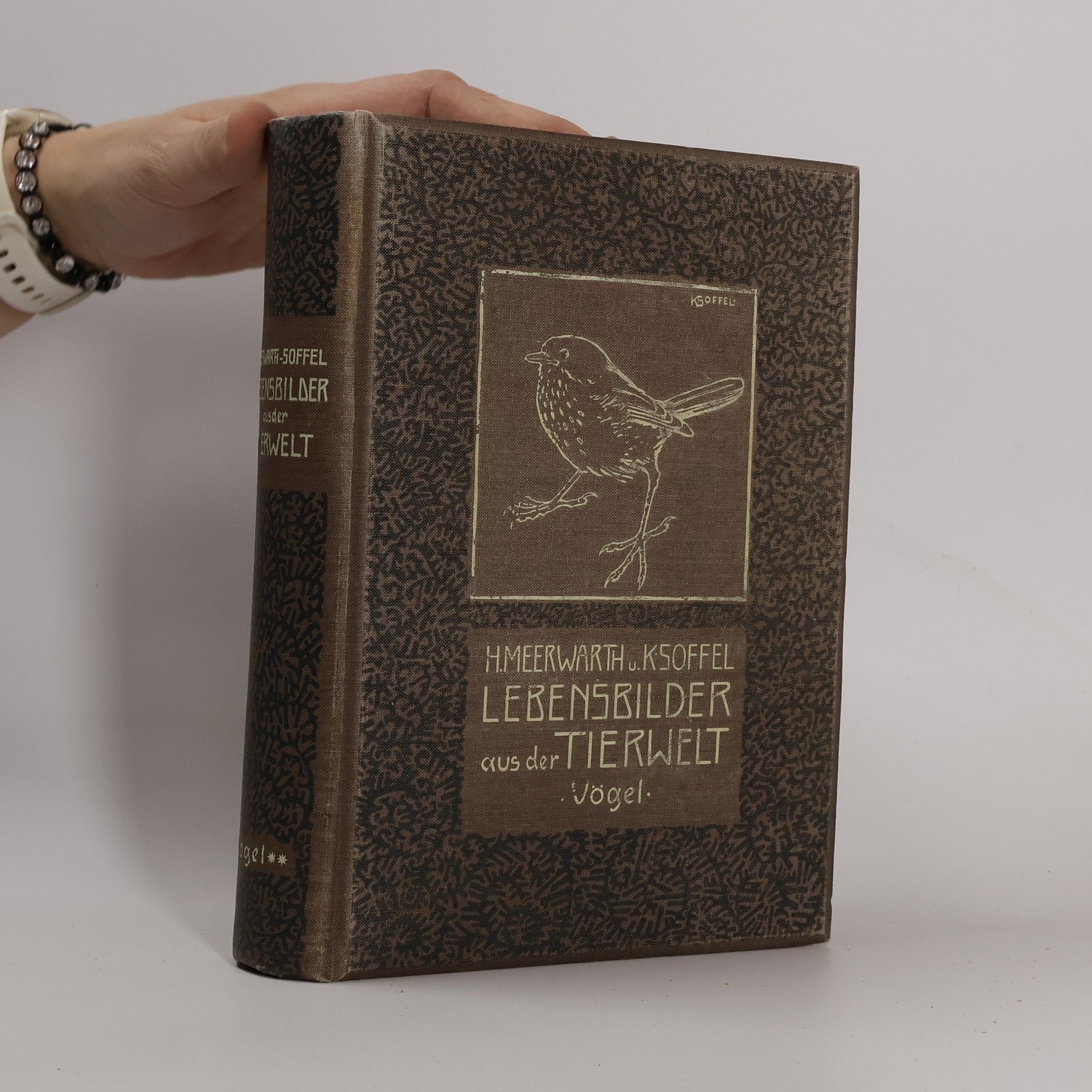 Hermann Meerwarth Lebensbilder aus der Tierwelt