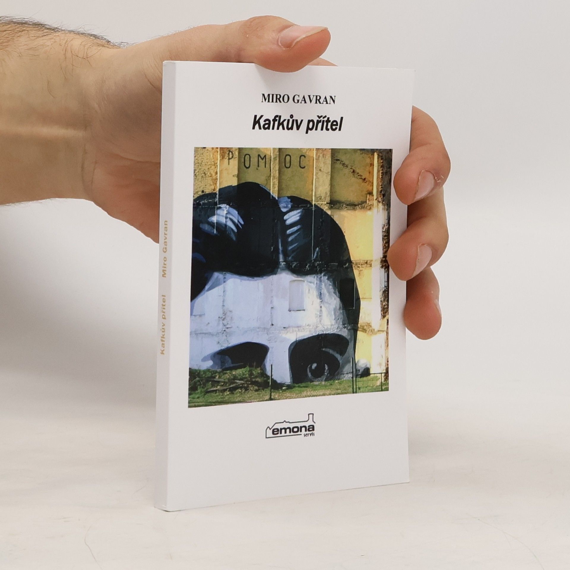 Kafkův přítel : román