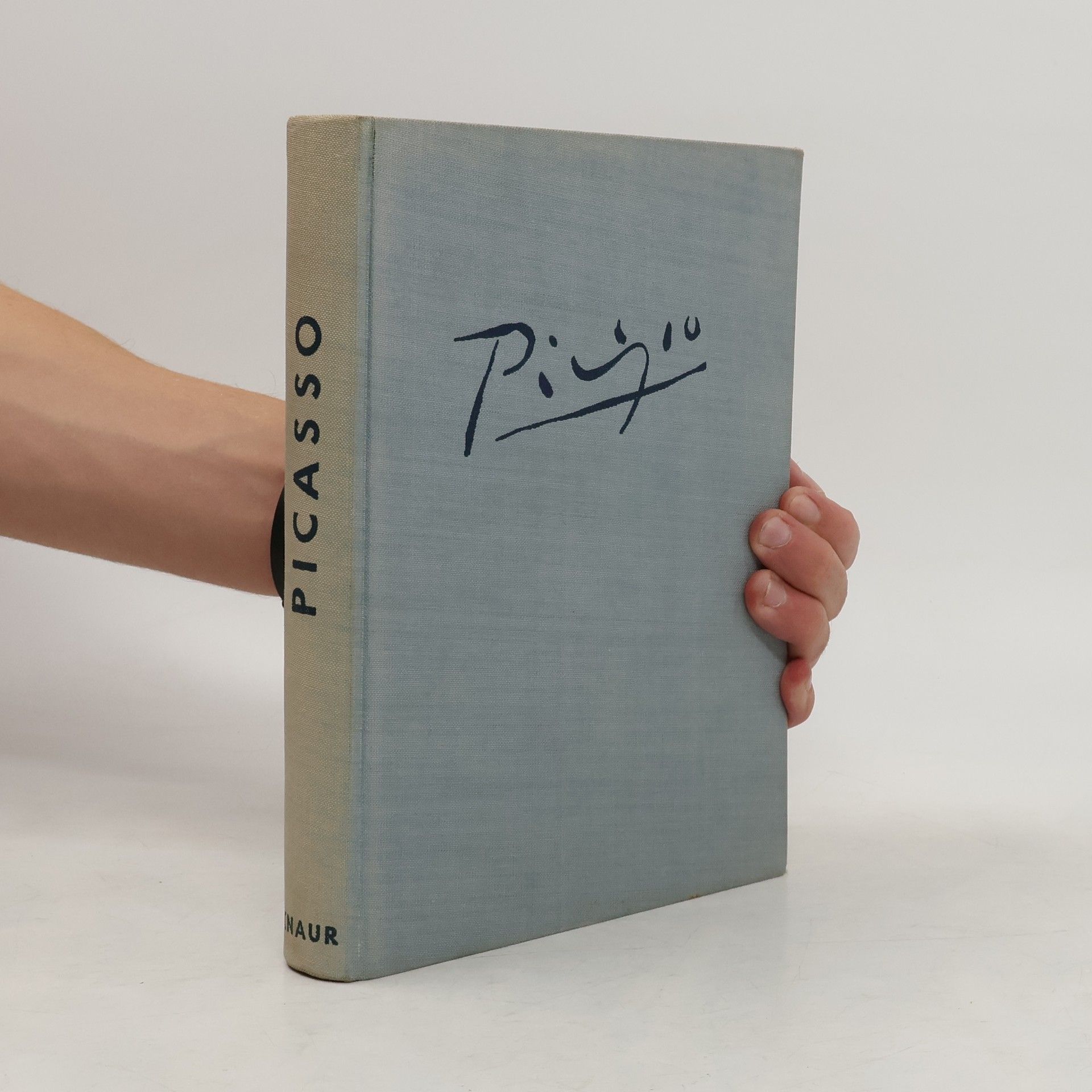 Kolektív autorov Picasso. Leben und Werk