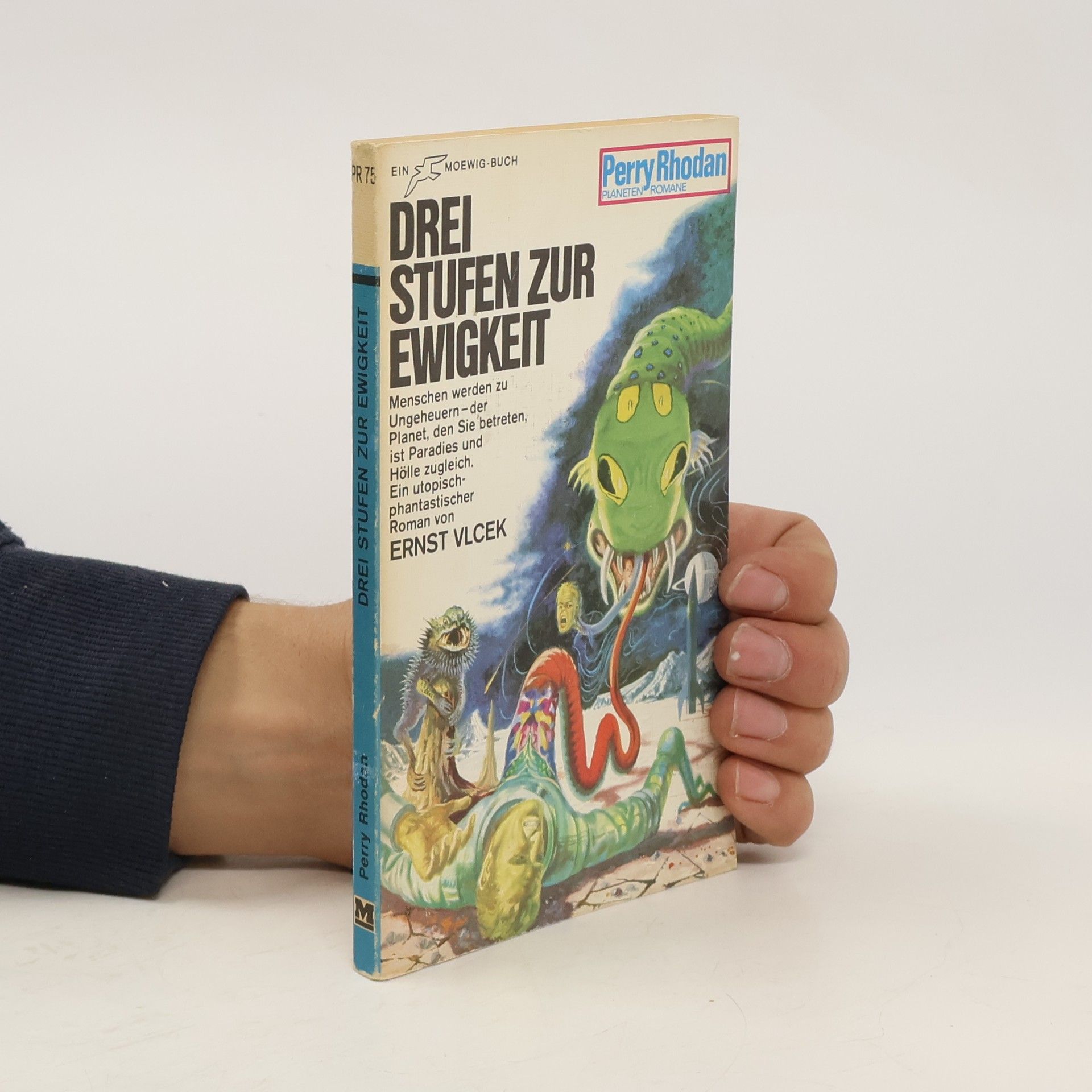 Erns Vlcek Drei Stufen zur Ewigkeit