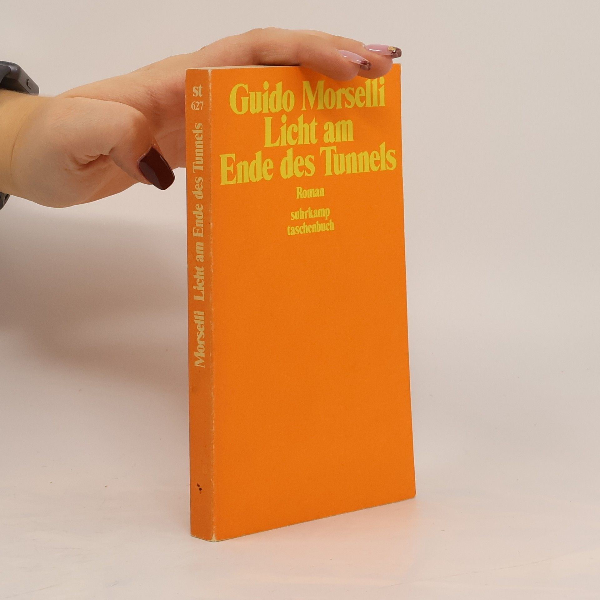 Guido Morselli Licht am Ende des Tunnels. Roman. Deutsch von Arianna Giachi