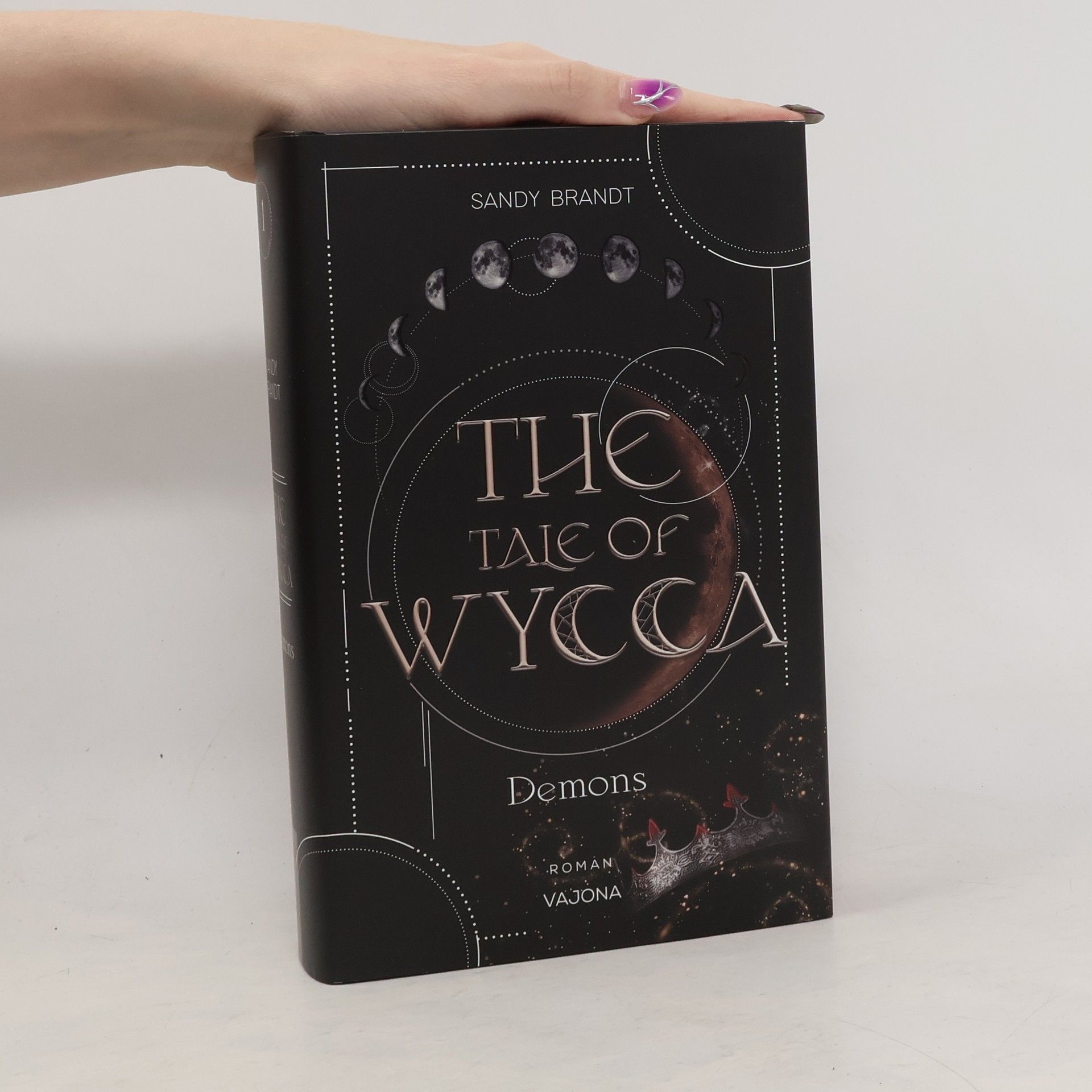 Sandy Brandt THE TALE OF WYCCA: Demons (WYCCA-Reihe 1)