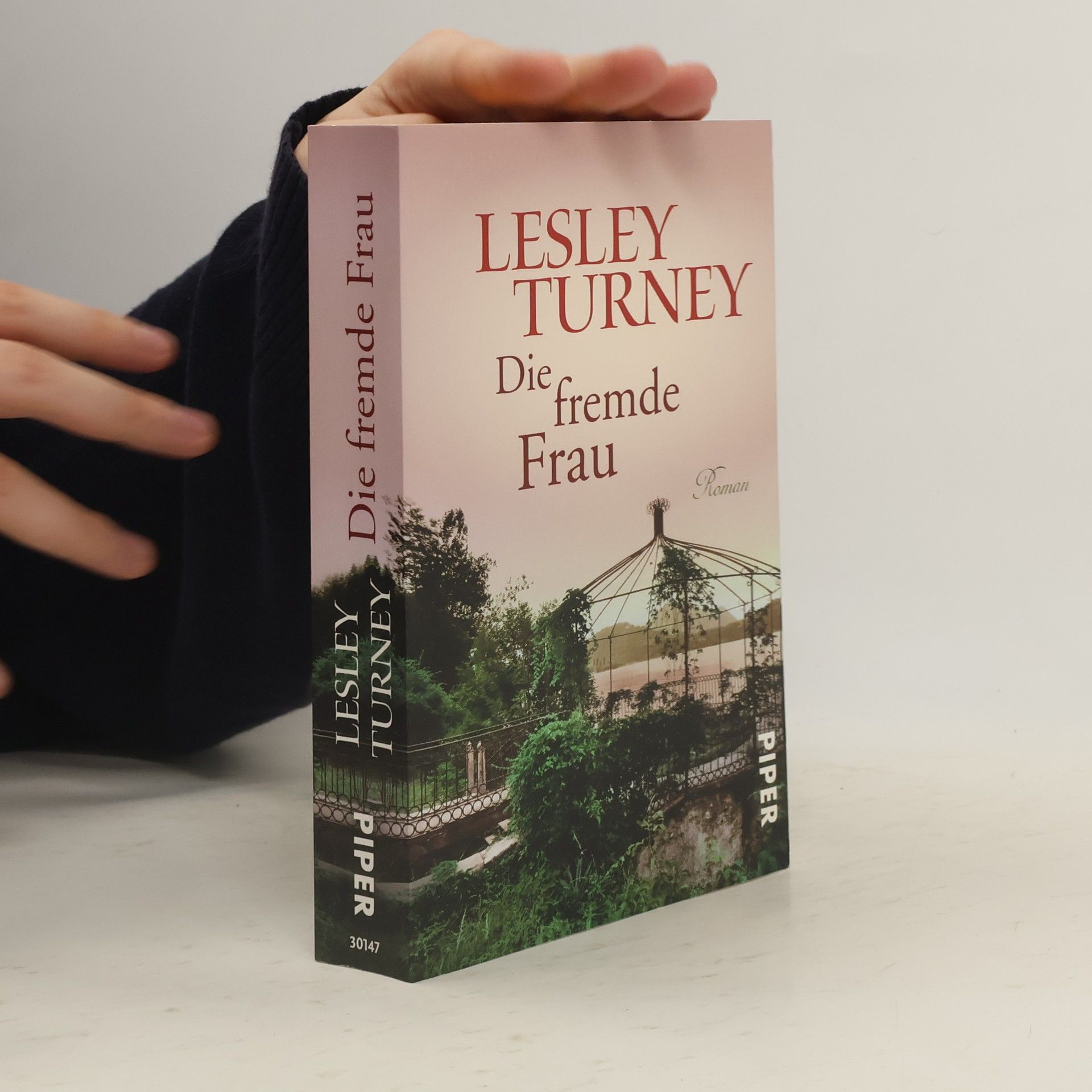 Lesley Turney Die fremde Frau