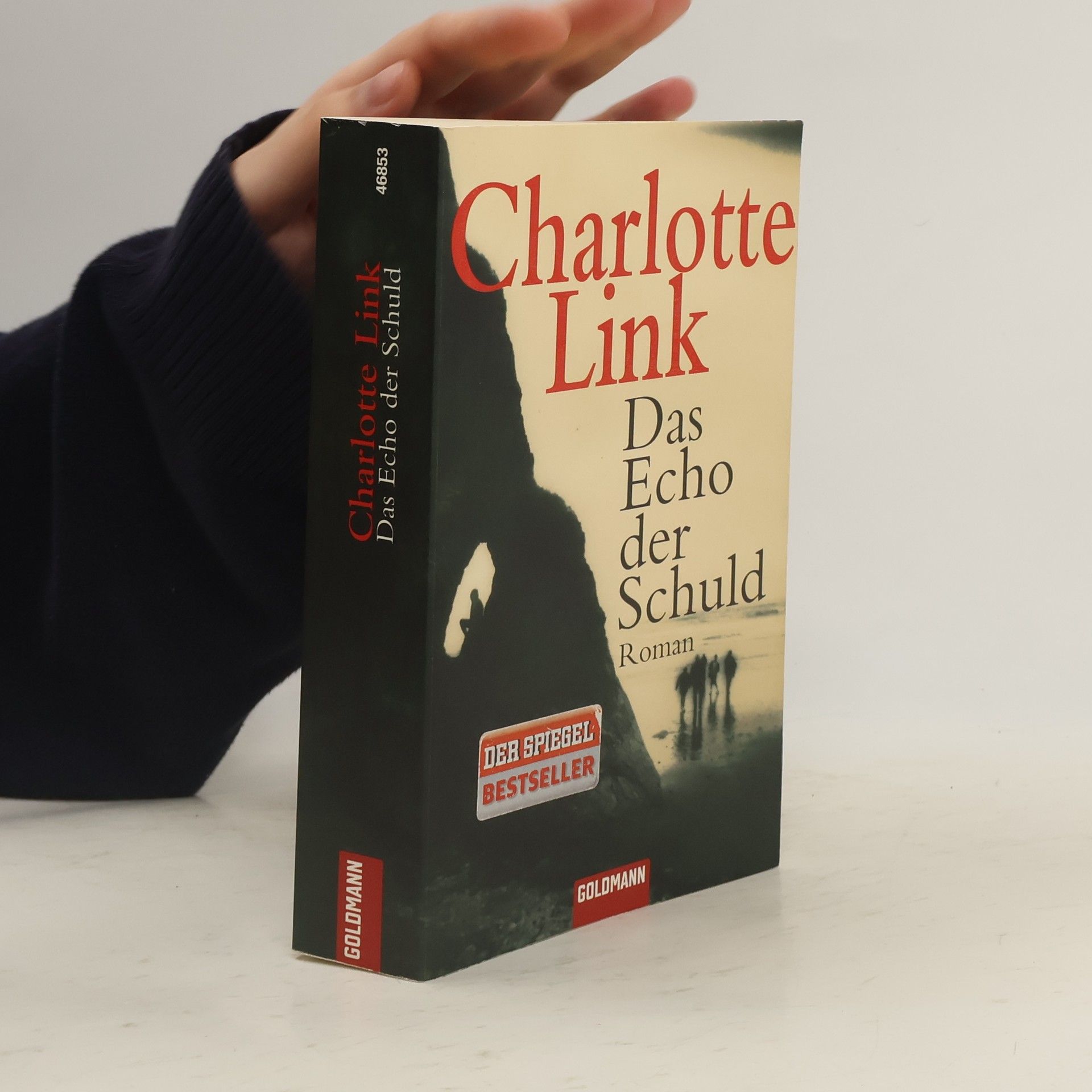 Charlotte Link Das Echo der Schuld