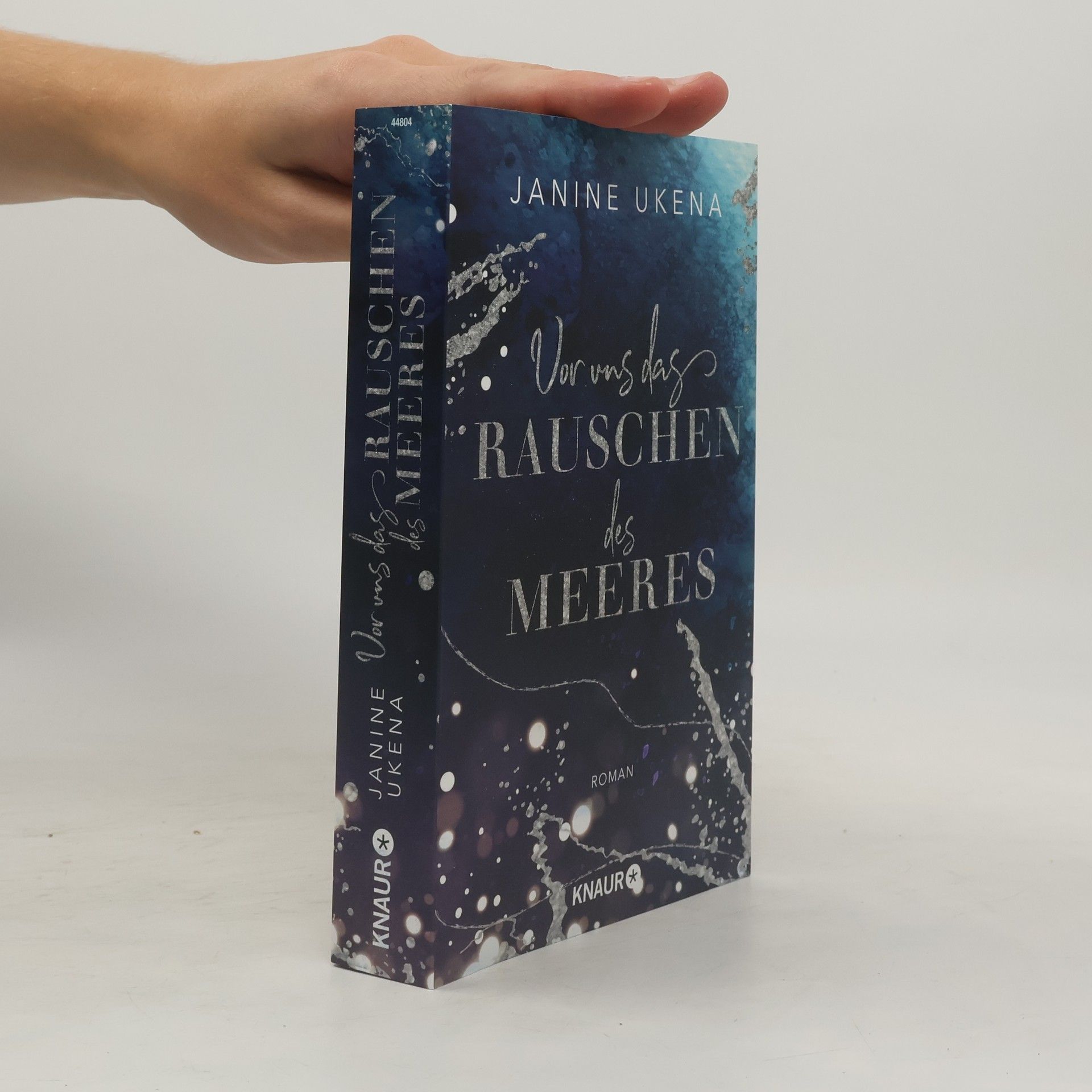 Janine Ukena Vor uns das Rauschen des Meeres