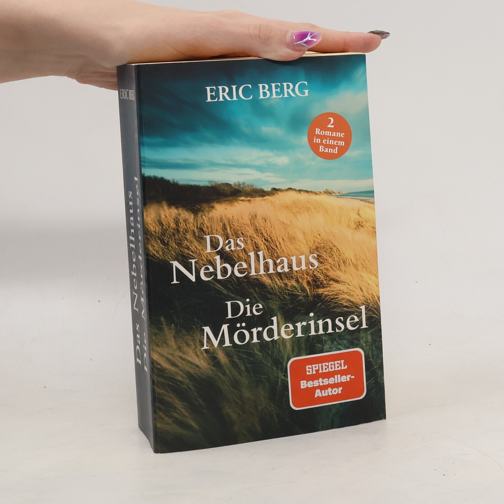 Eric Berg Das Nebelhaus. Die Mörderinsel