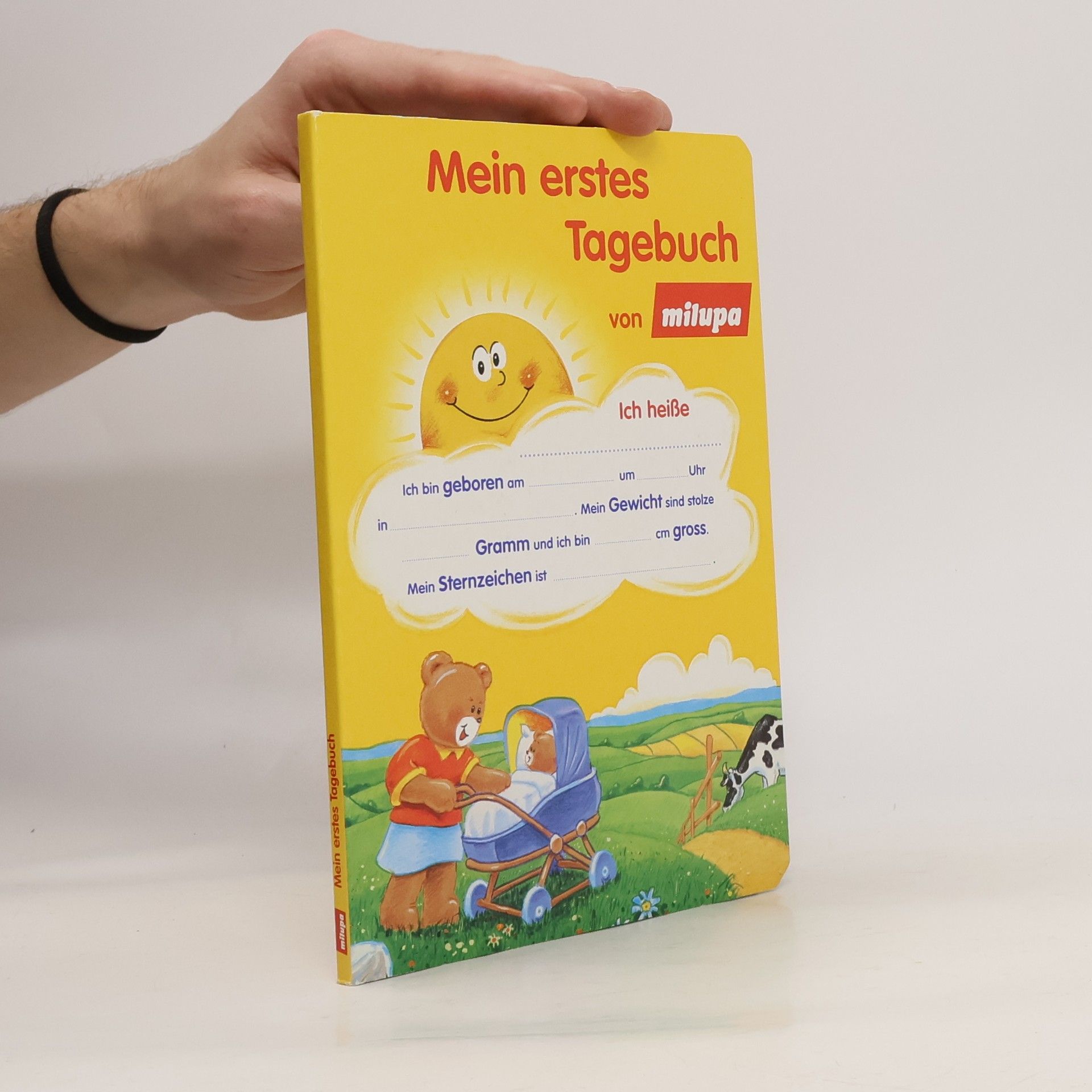 Autorenkollektiv Mein erstes Tagebuch