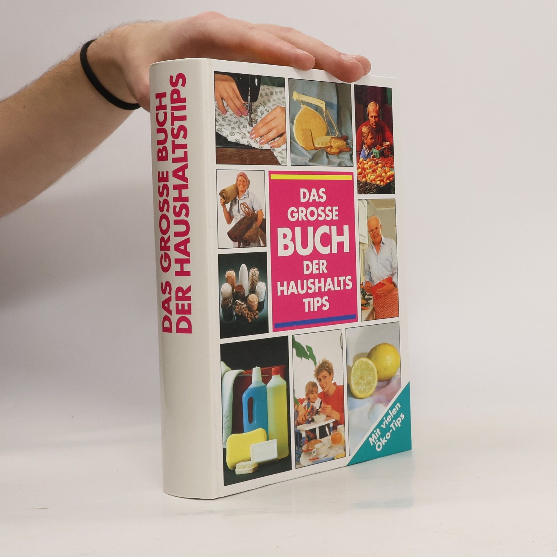Kolektív autorov Das grosse Buch der haushalts Tips