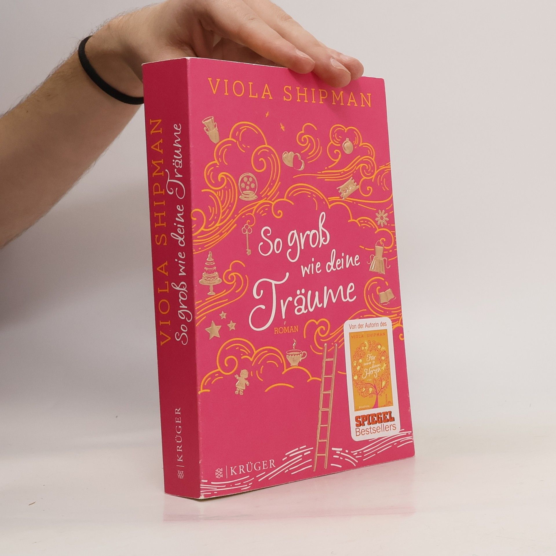 Viola Shipman So groß wie deine Träume