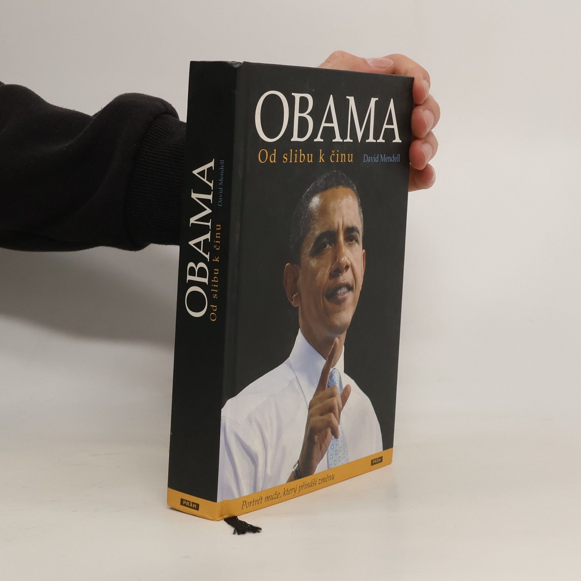 David Mendell Obama. Od slibu k činu