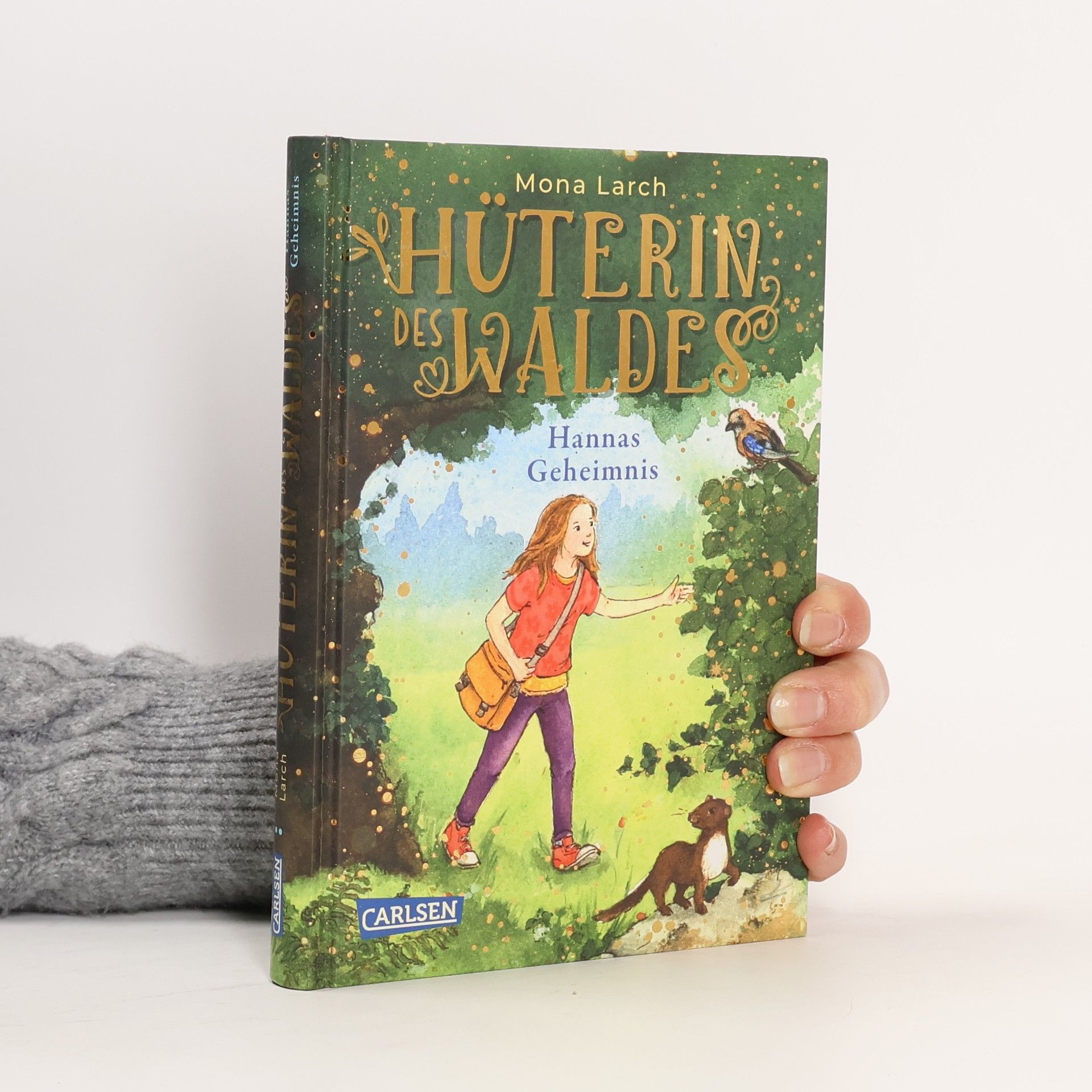 Hüterin des Waldes 1: Hannas Geheimnis