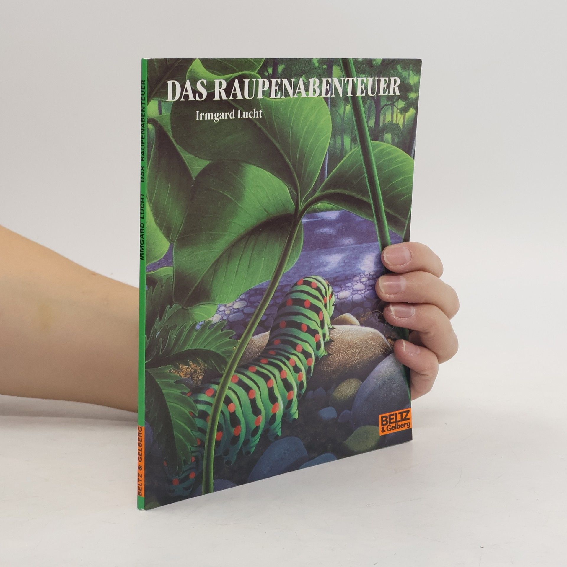 Irmgard Lucht Das Raupenabenteuer
