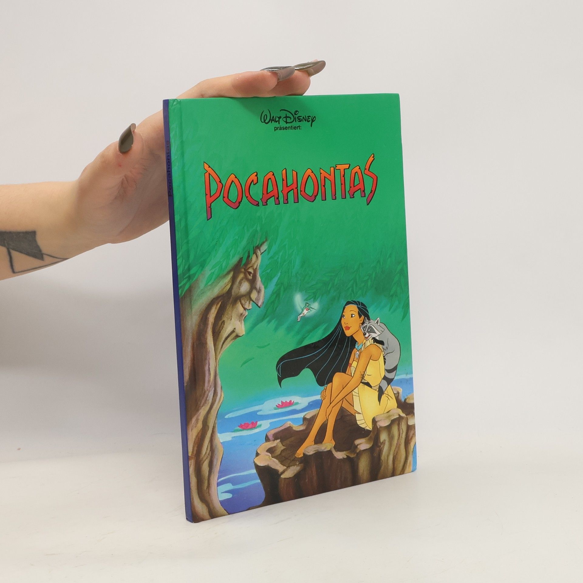 Autorenkollektiv Pocahontas