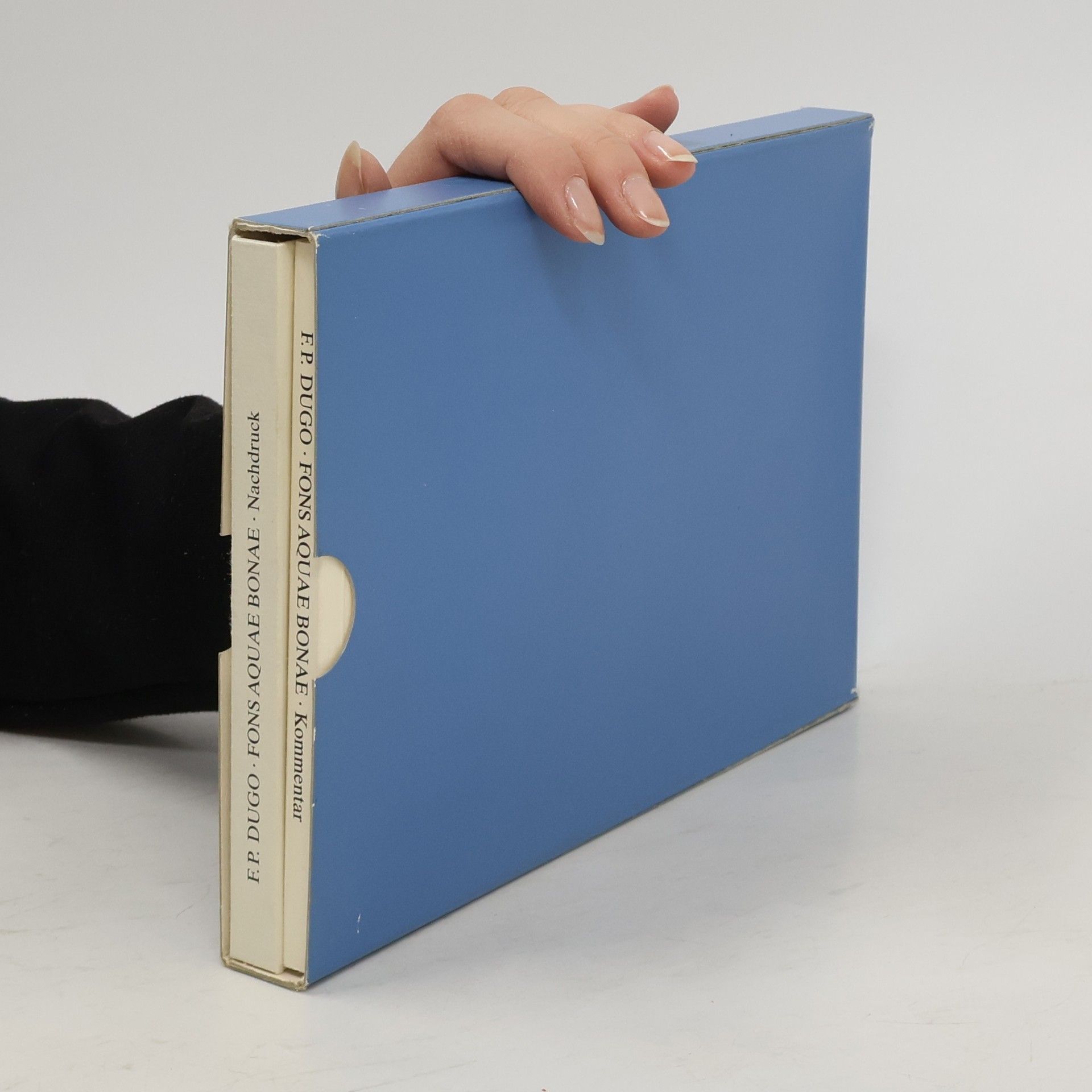 Franciscus Prosper Dugo Fons Aquae Bonae. Nachdruck / Kommentar