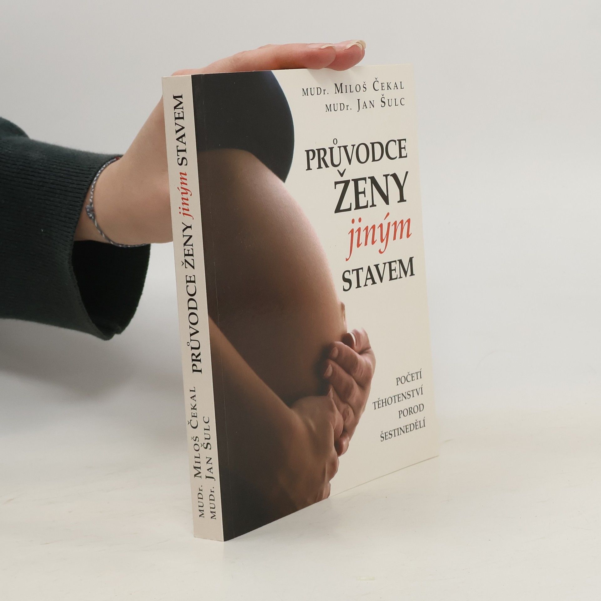 Průvodce ženy jiným stavem