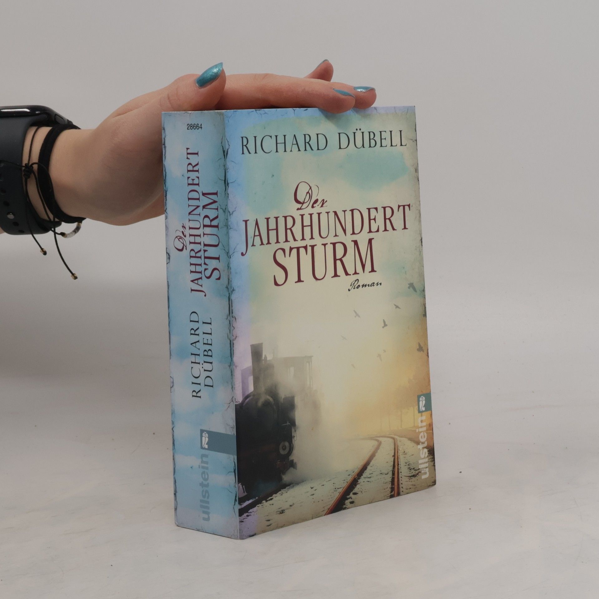 Richard Dübell Den Jahrhundertsturm