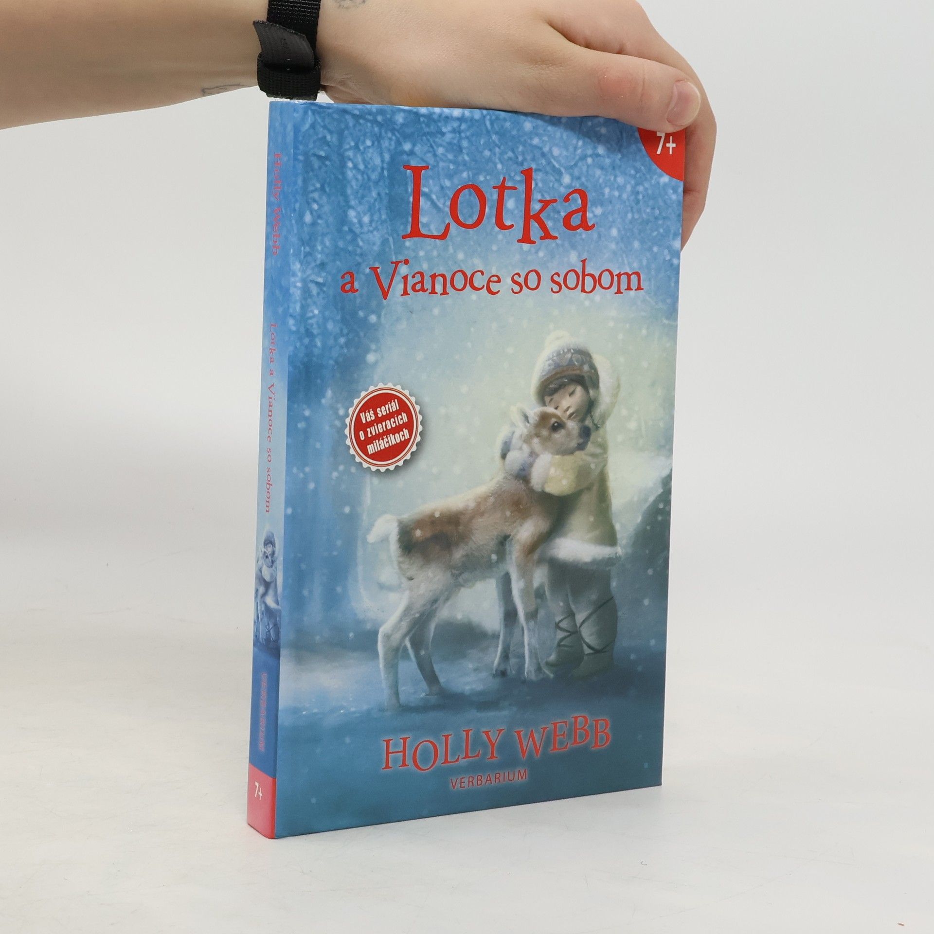 Holly Webb Lotka a Vianoce so sobom