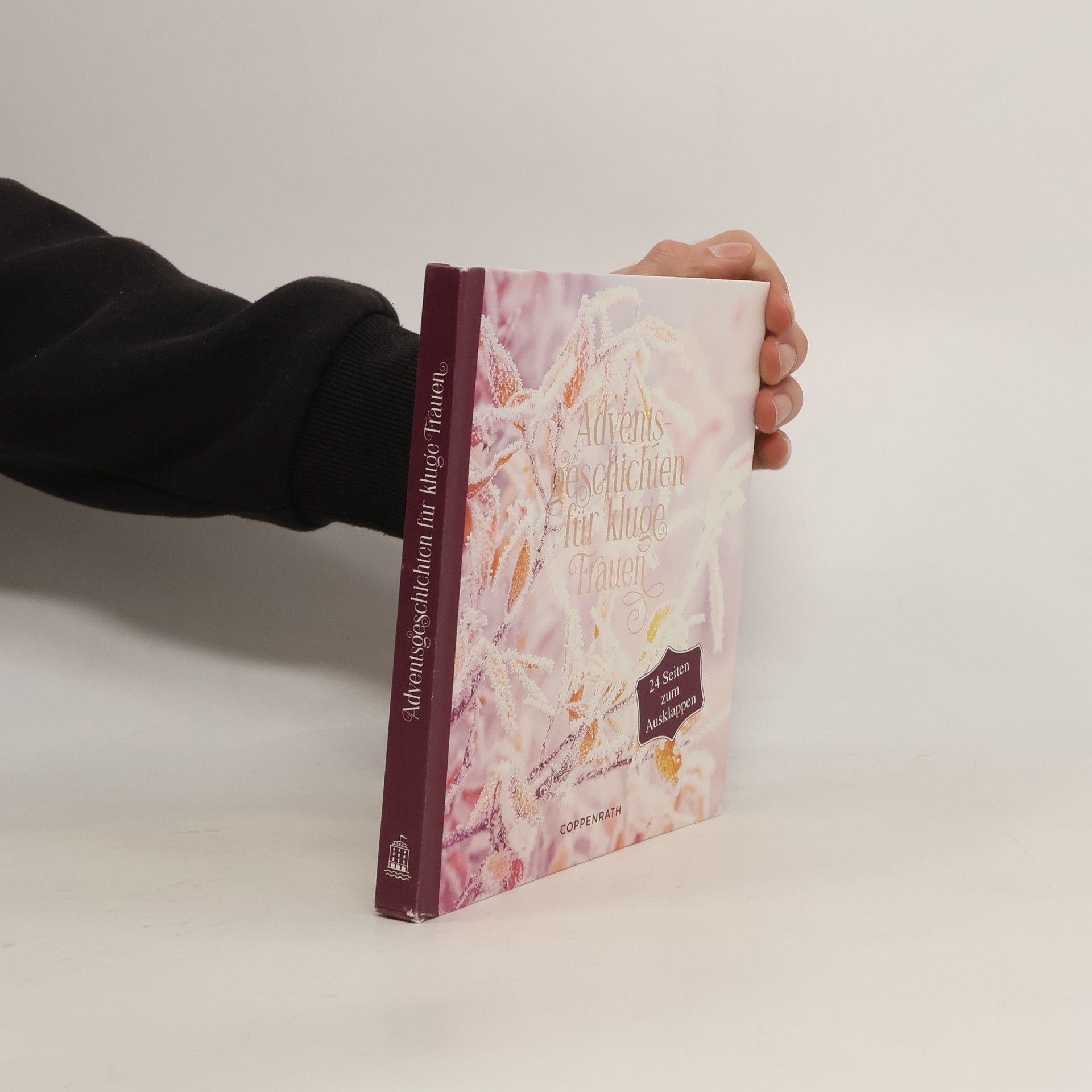 Adventsgeschichten für kluge Frauen