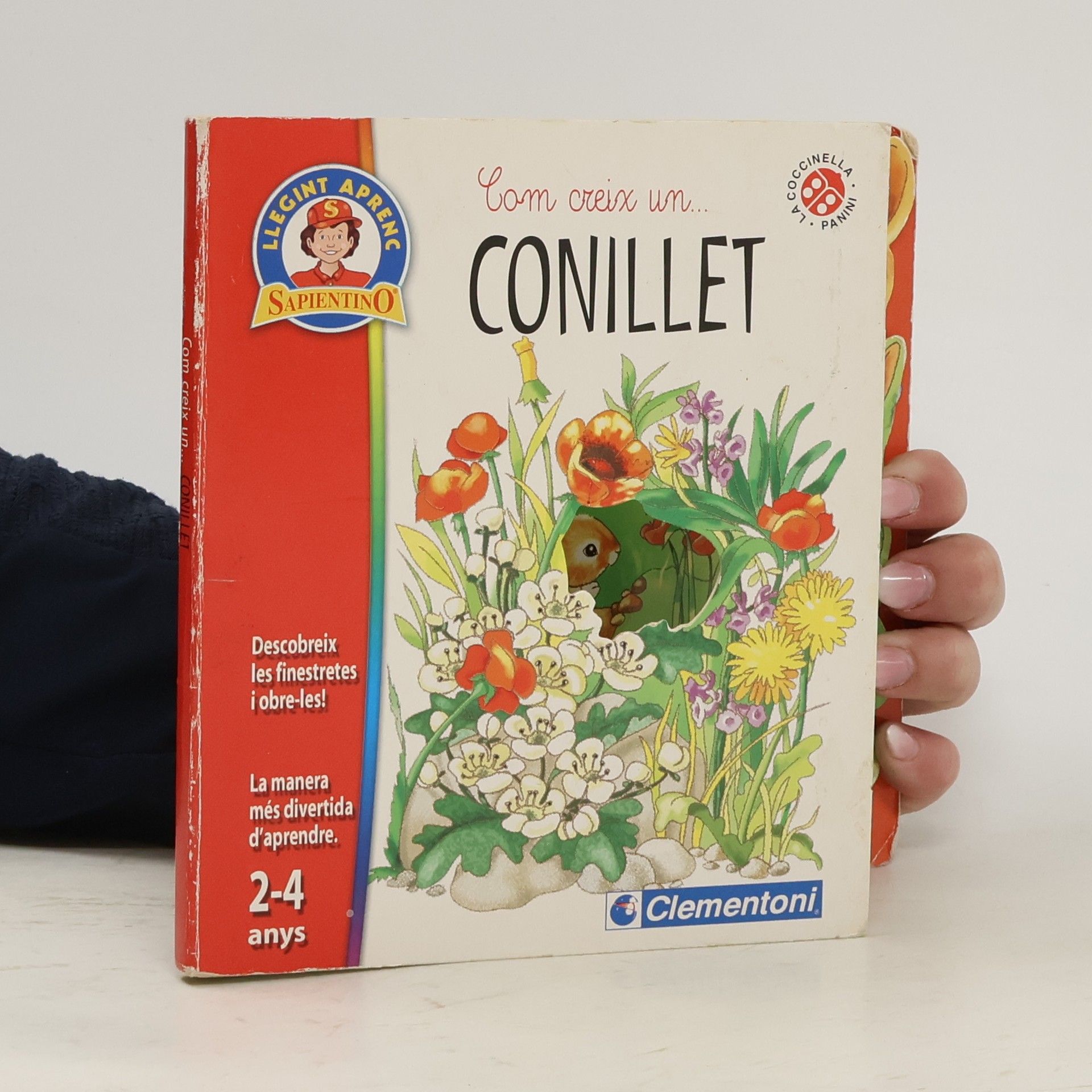 Com creix un... conillet