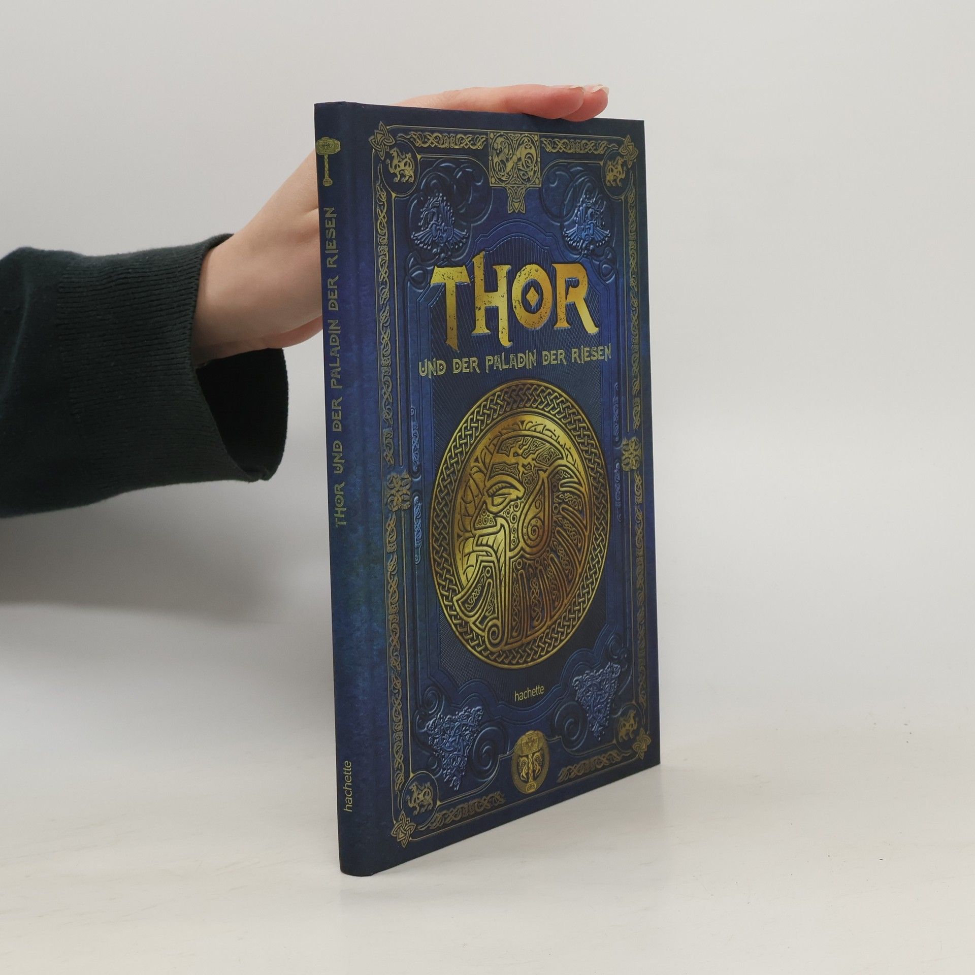 Autorenkollektiv Thor und der Paladin der Riesen