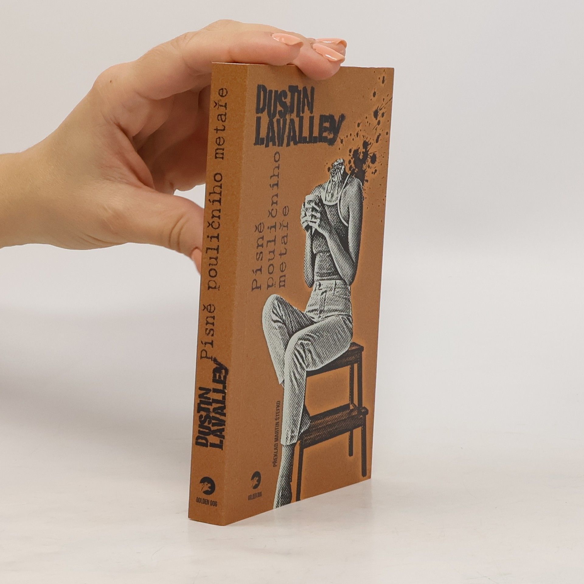 Písně pouličního metaře