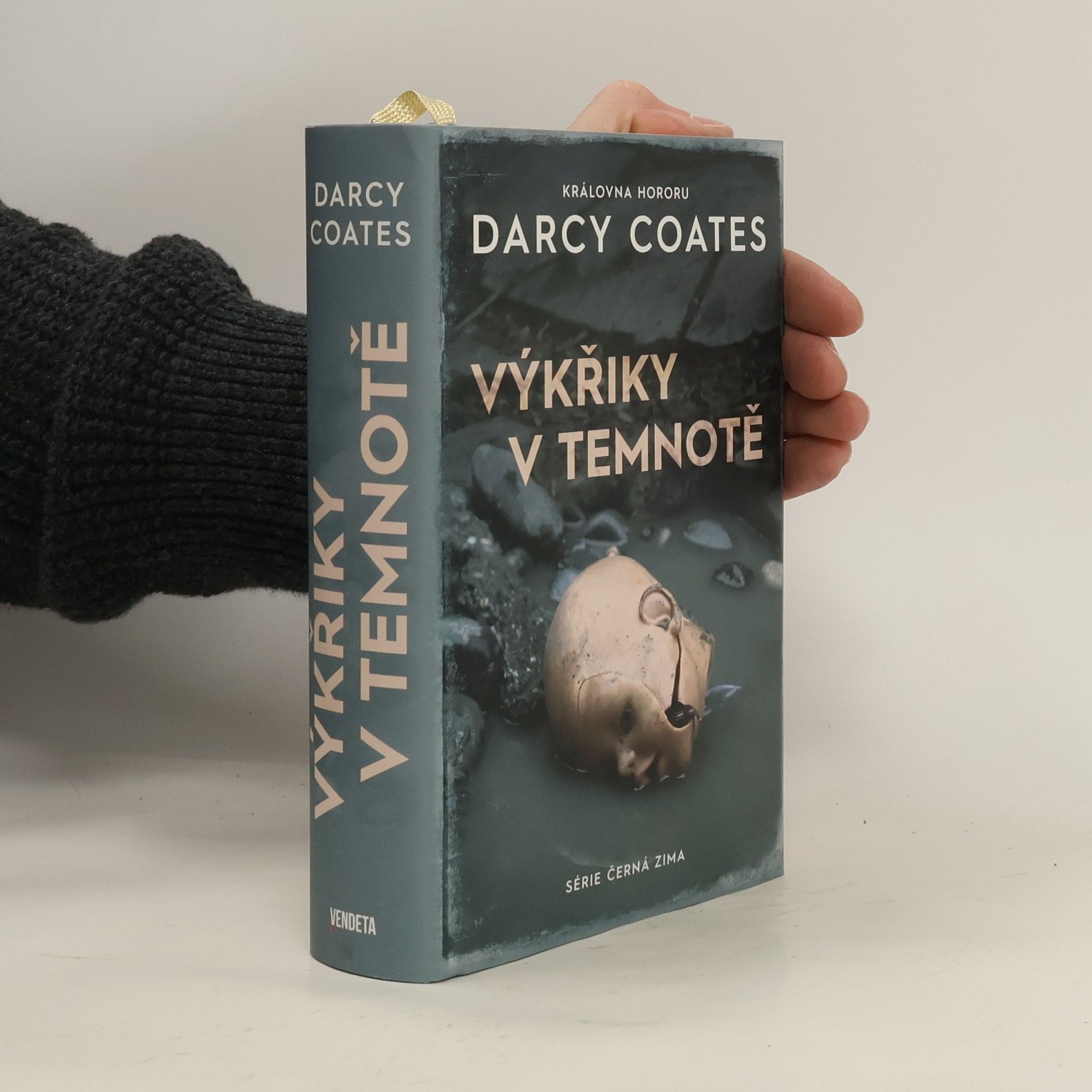 Darcy Coates Výkřiky v temnotě