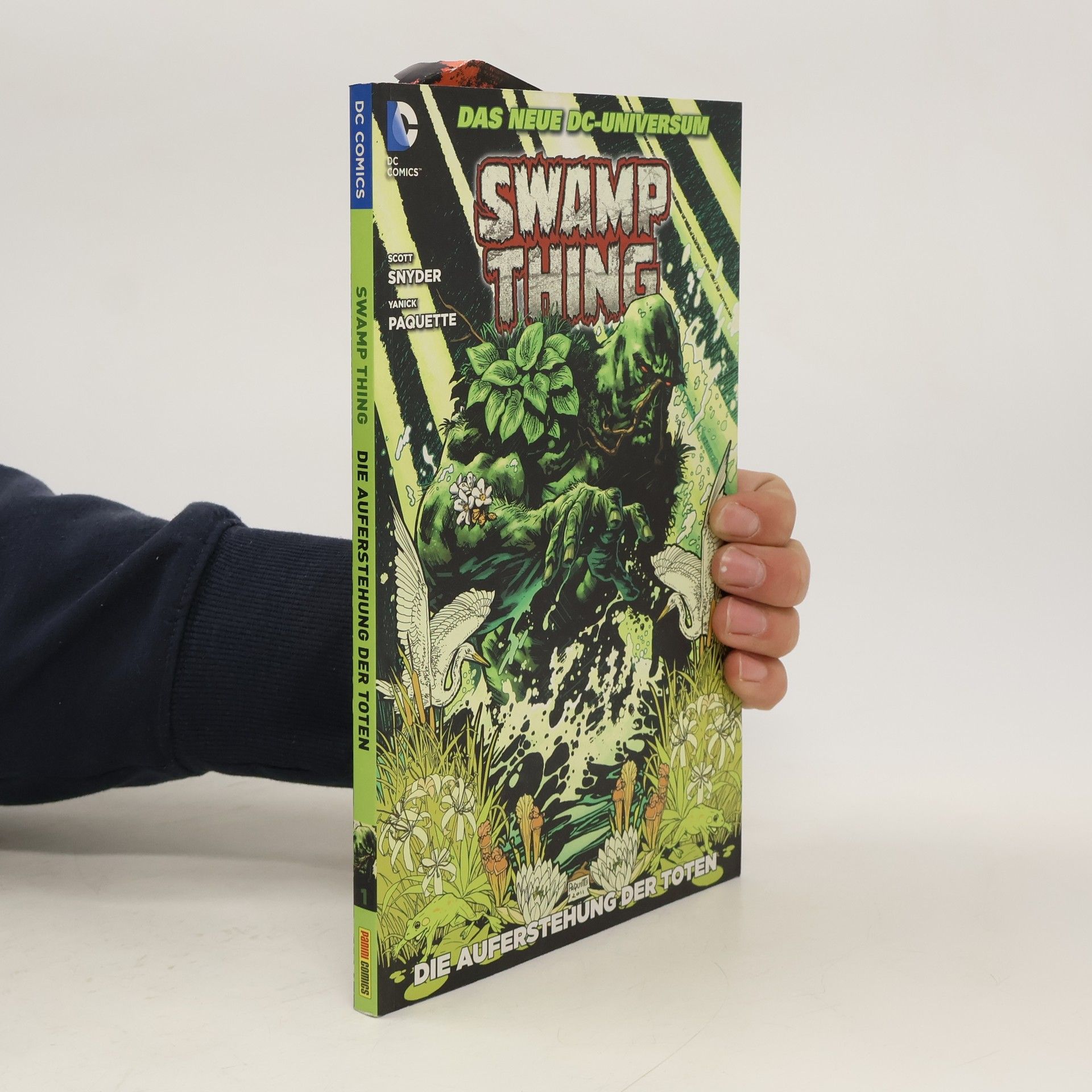 Scott Snyder Swamp thing