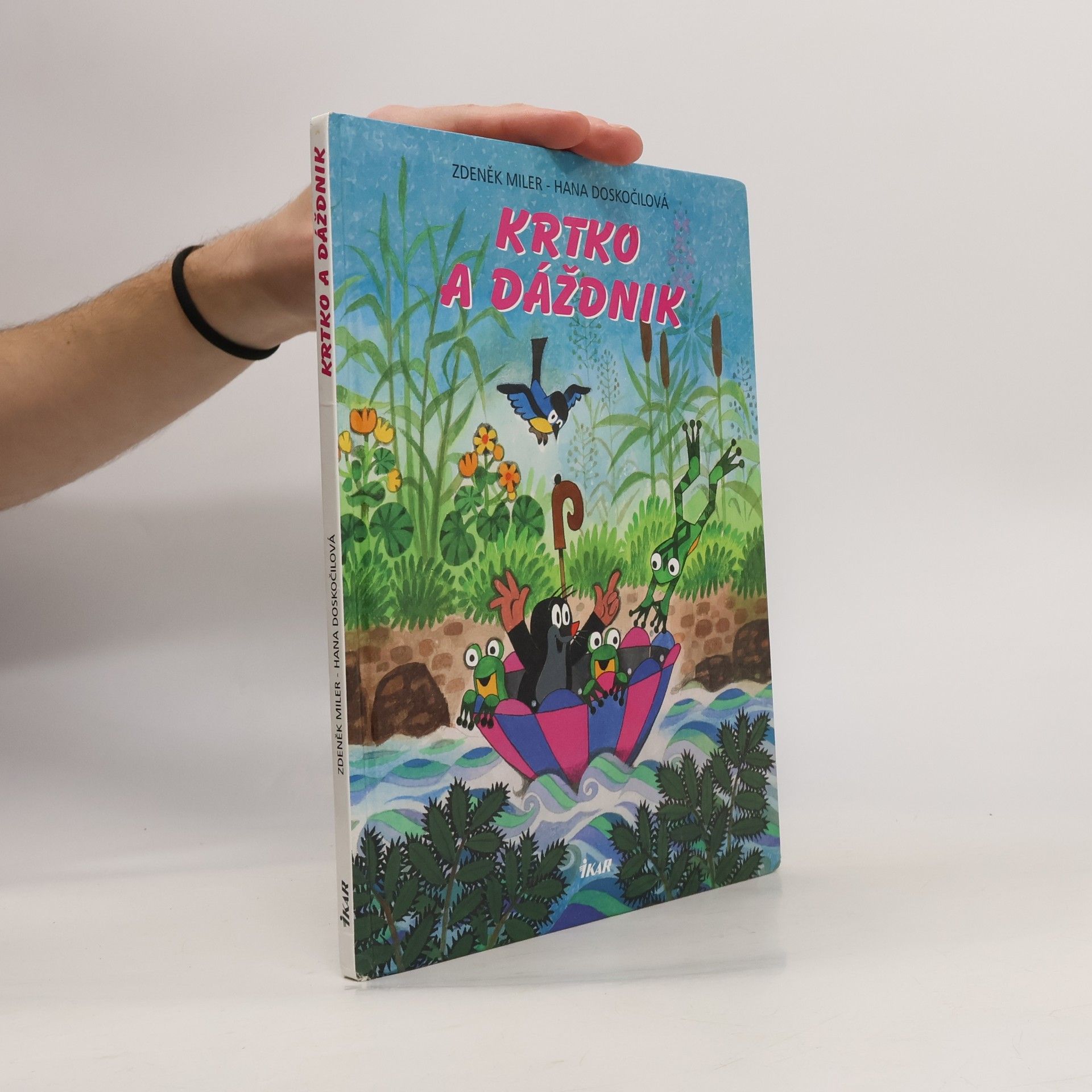 Hana Doskočilová Krtko a dáždnik