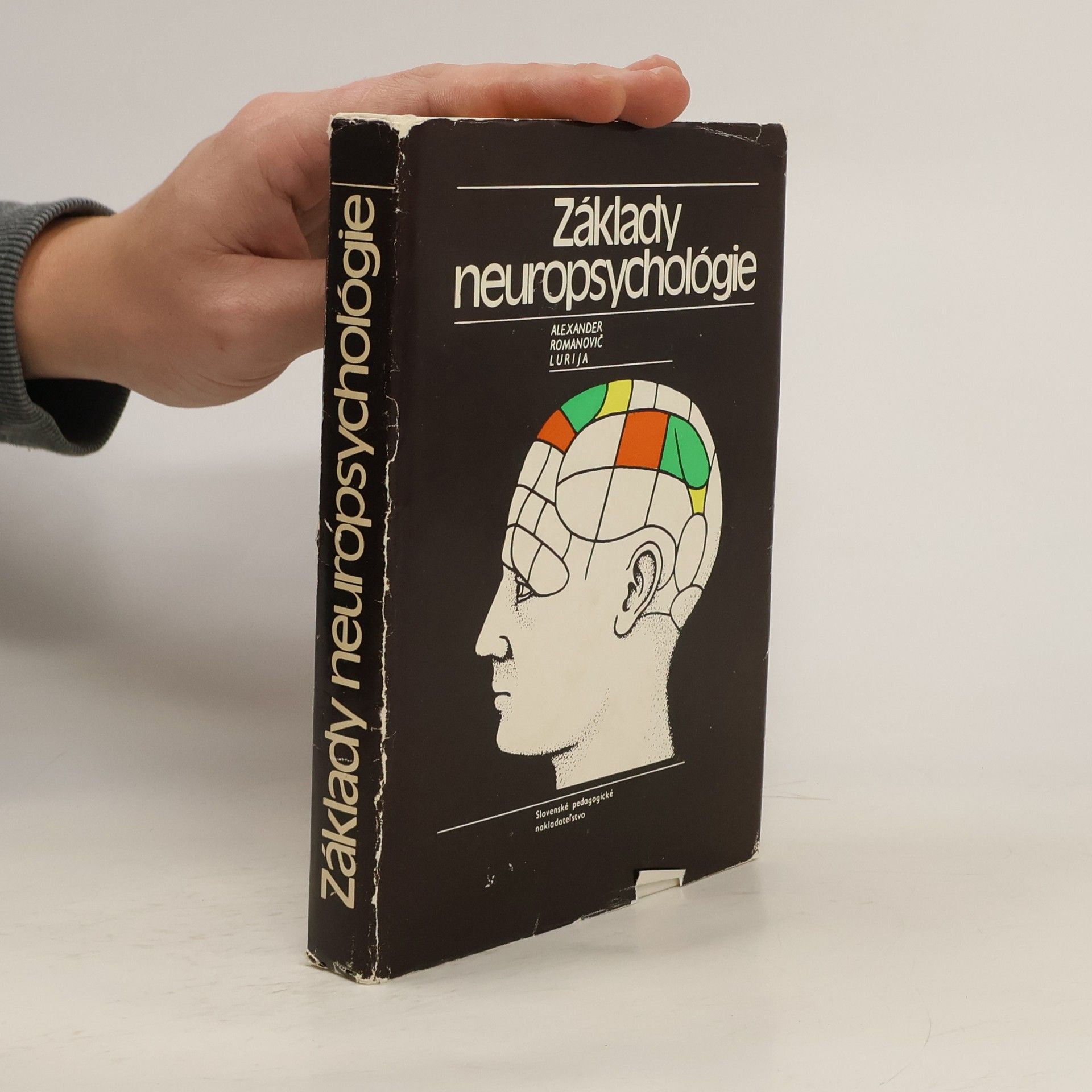 Základy neuropsychológie