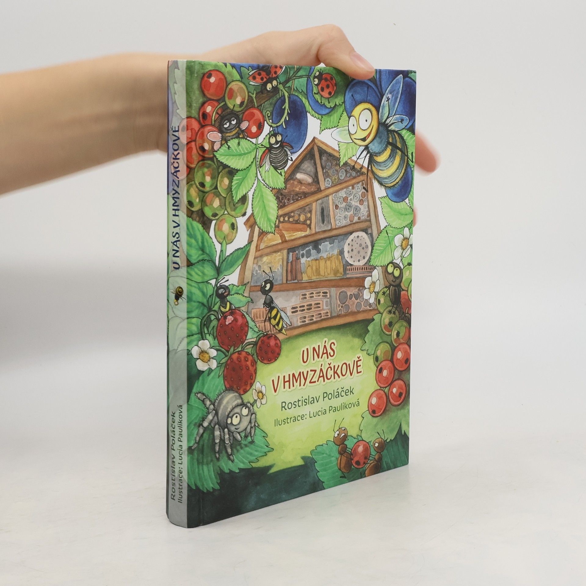U nás v Hmyzáčkově