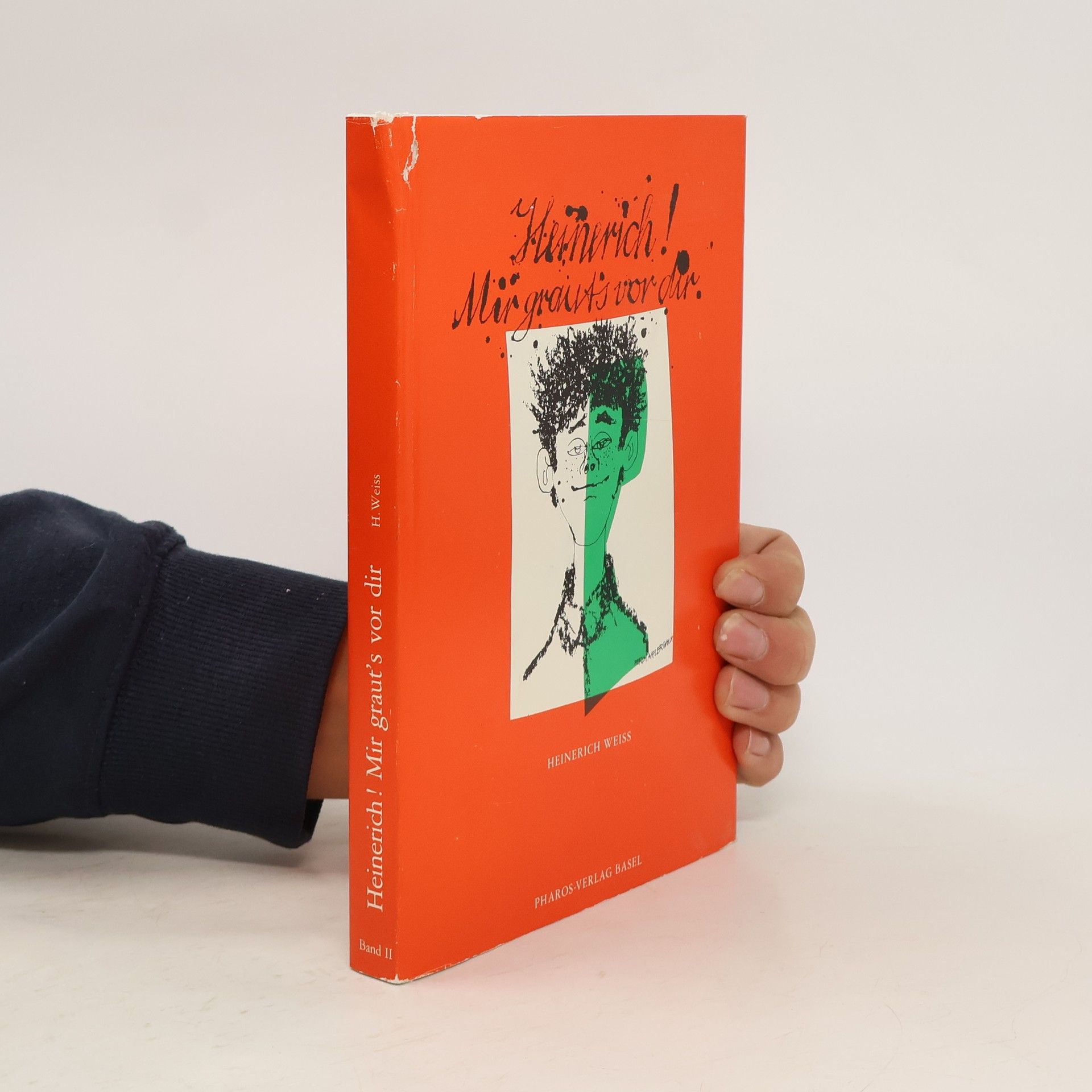 Basler Schriften - 18: Basel--ja und?