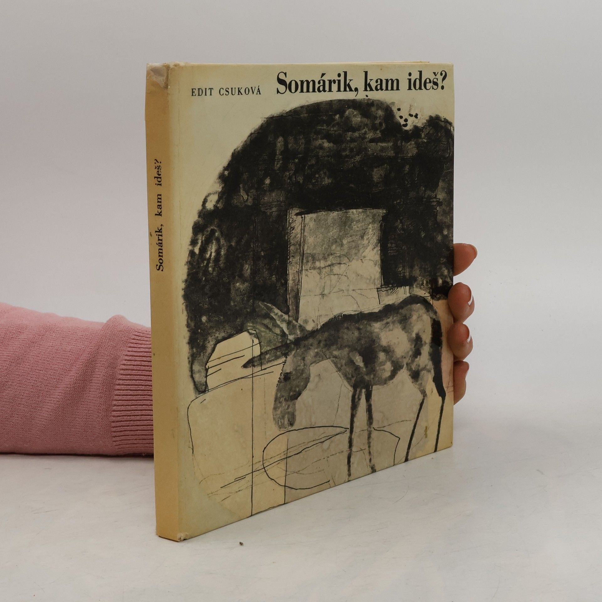 Edit Csuková Somárik, kam ideš?
