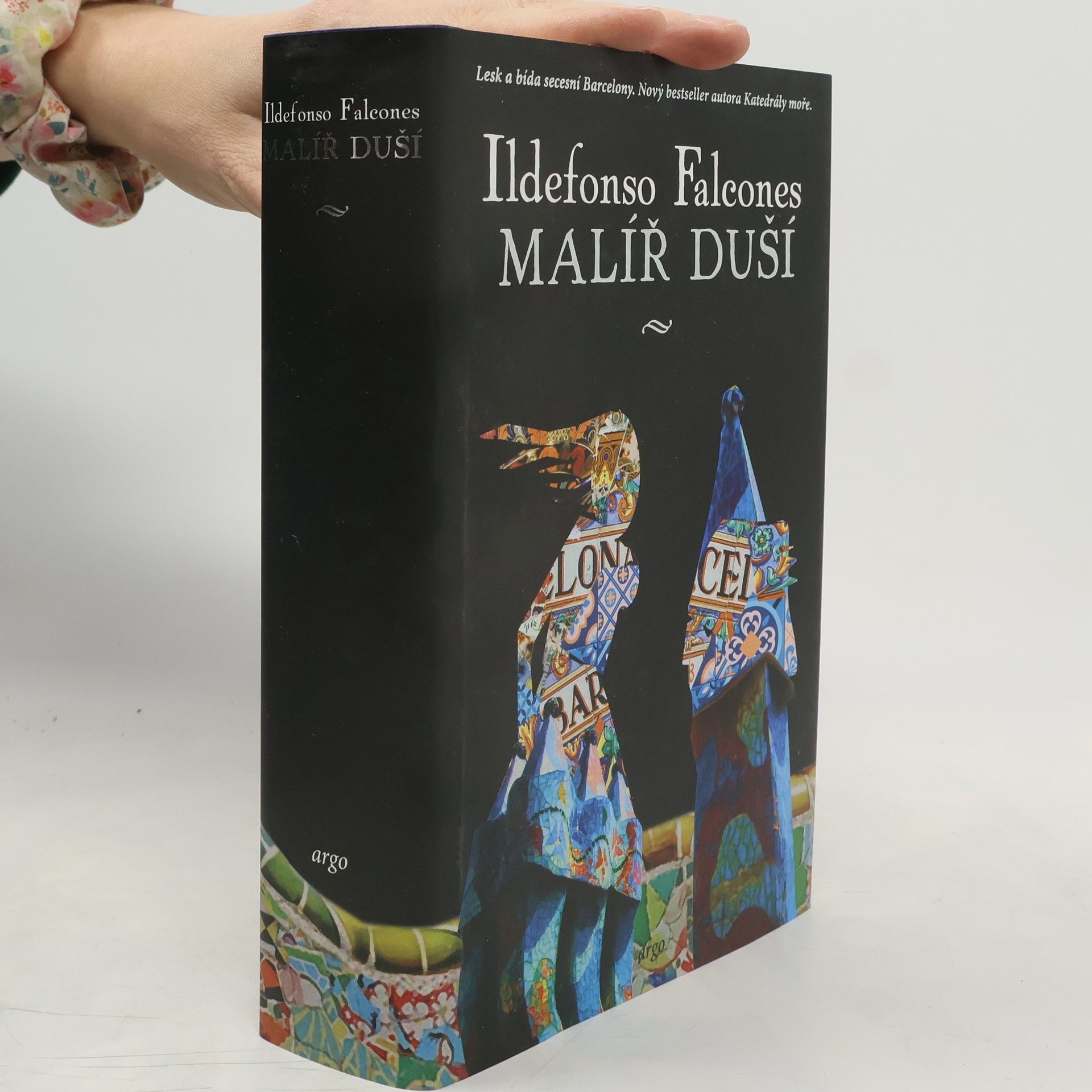 Ildefonso Falcones Malíř duší