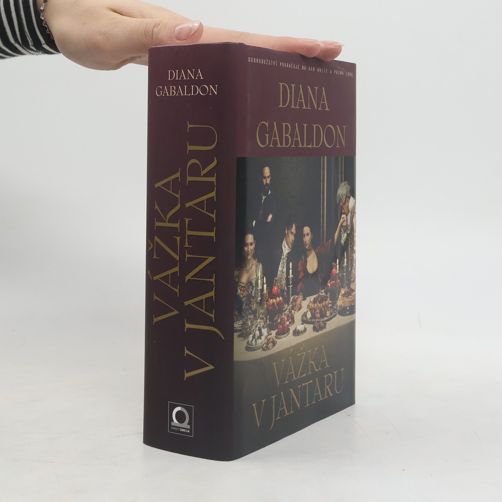 Diana Gabaldon Vážka v jantaru