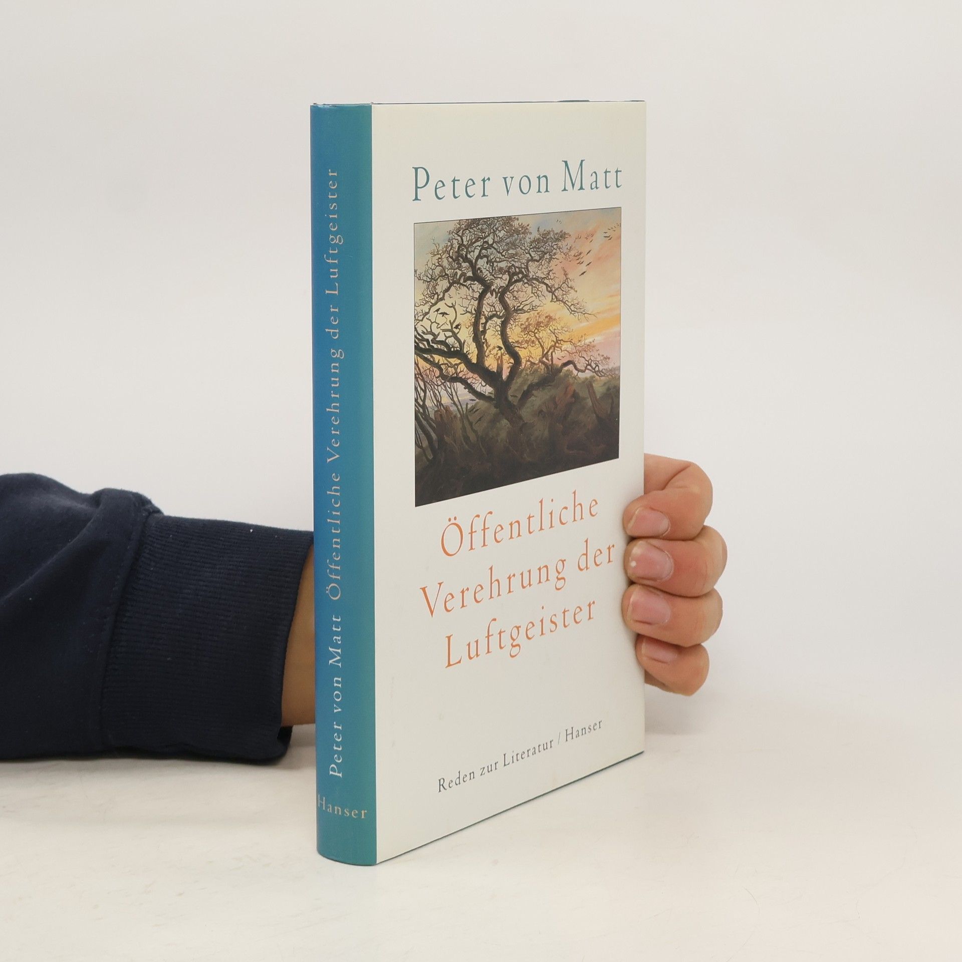 Peter Matt Öffentliche Verehrung der Luftgeister