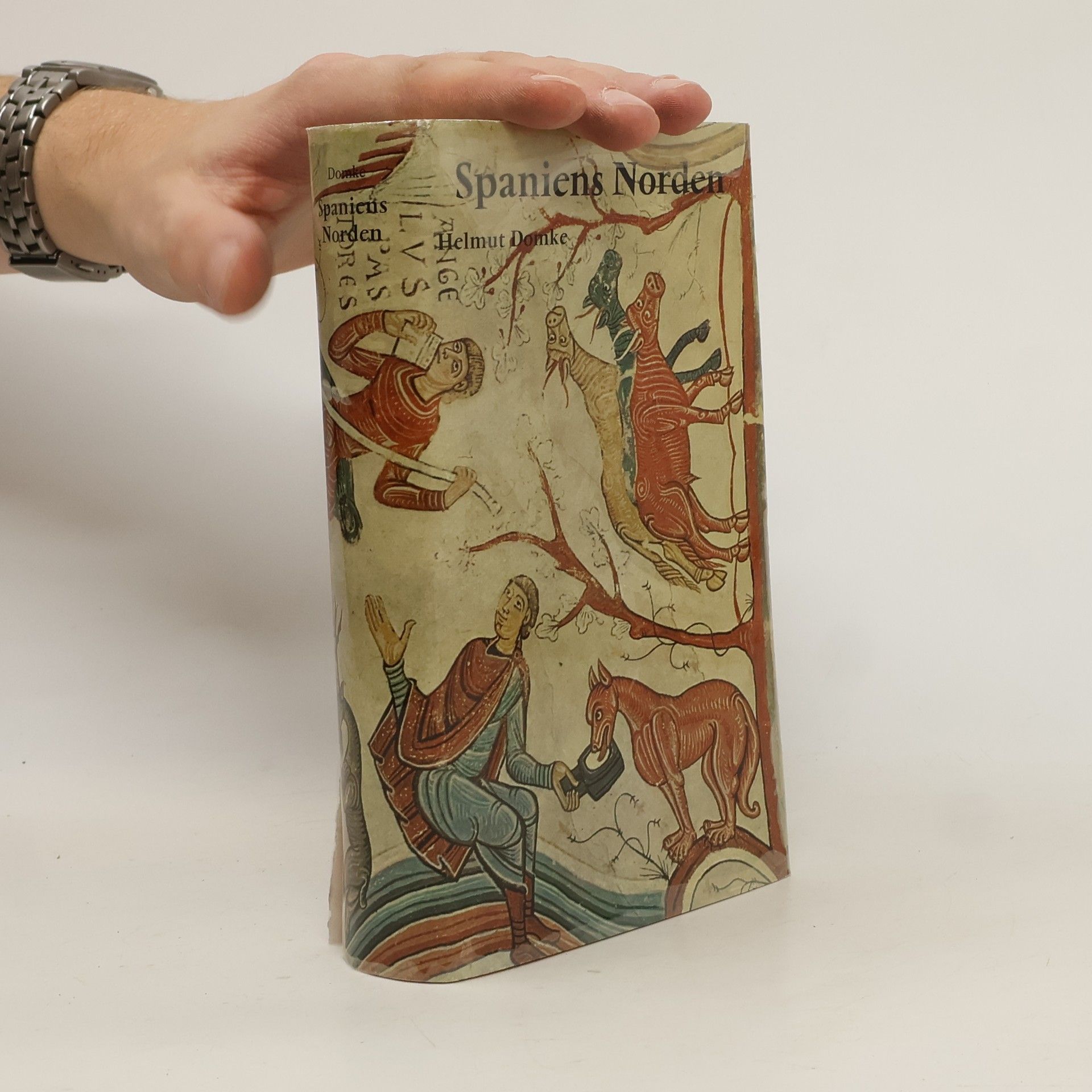 Helmut Domke Spaniens Norden