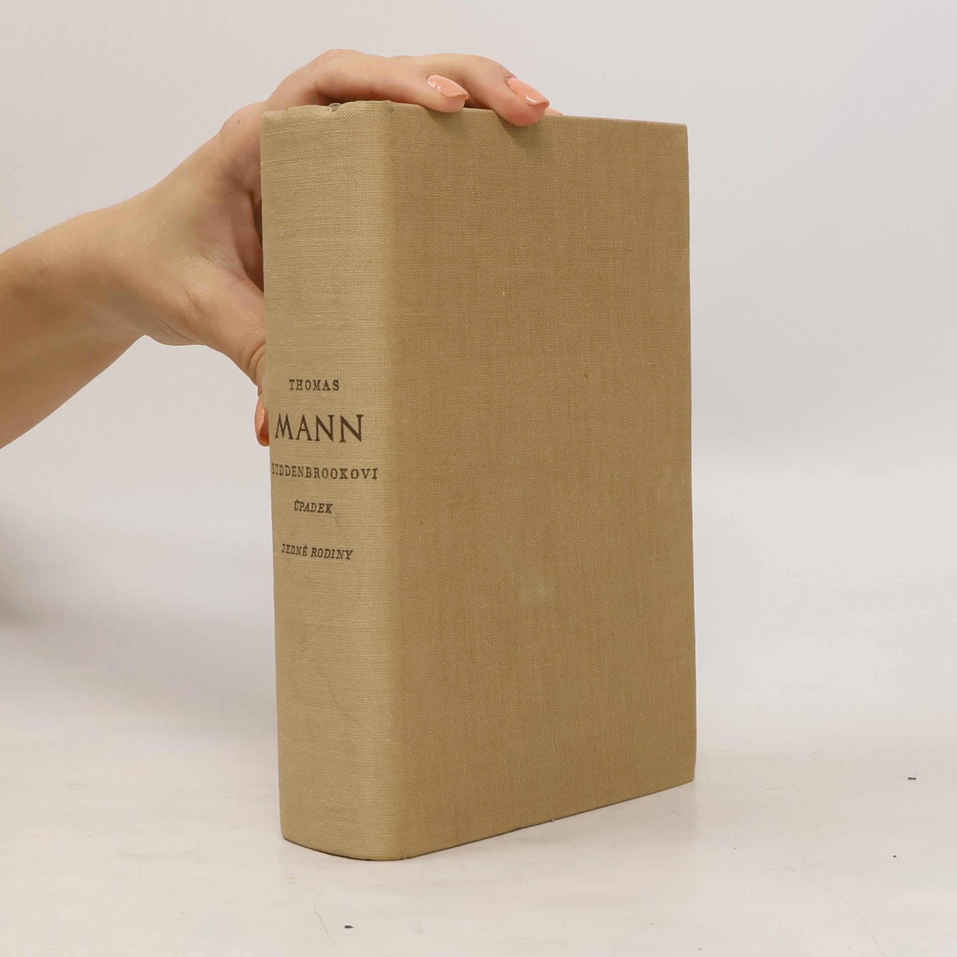 Thomas Mann Buddenbrookovi úpadek jedné rodiny