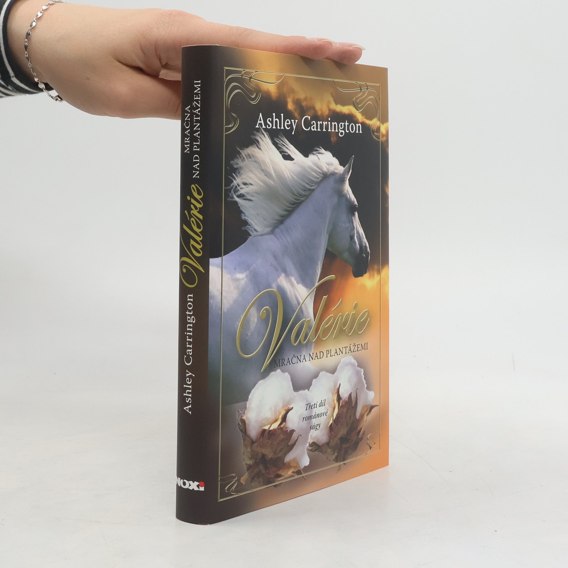 Rainer Maria Schröder Mračna nad plantážemi