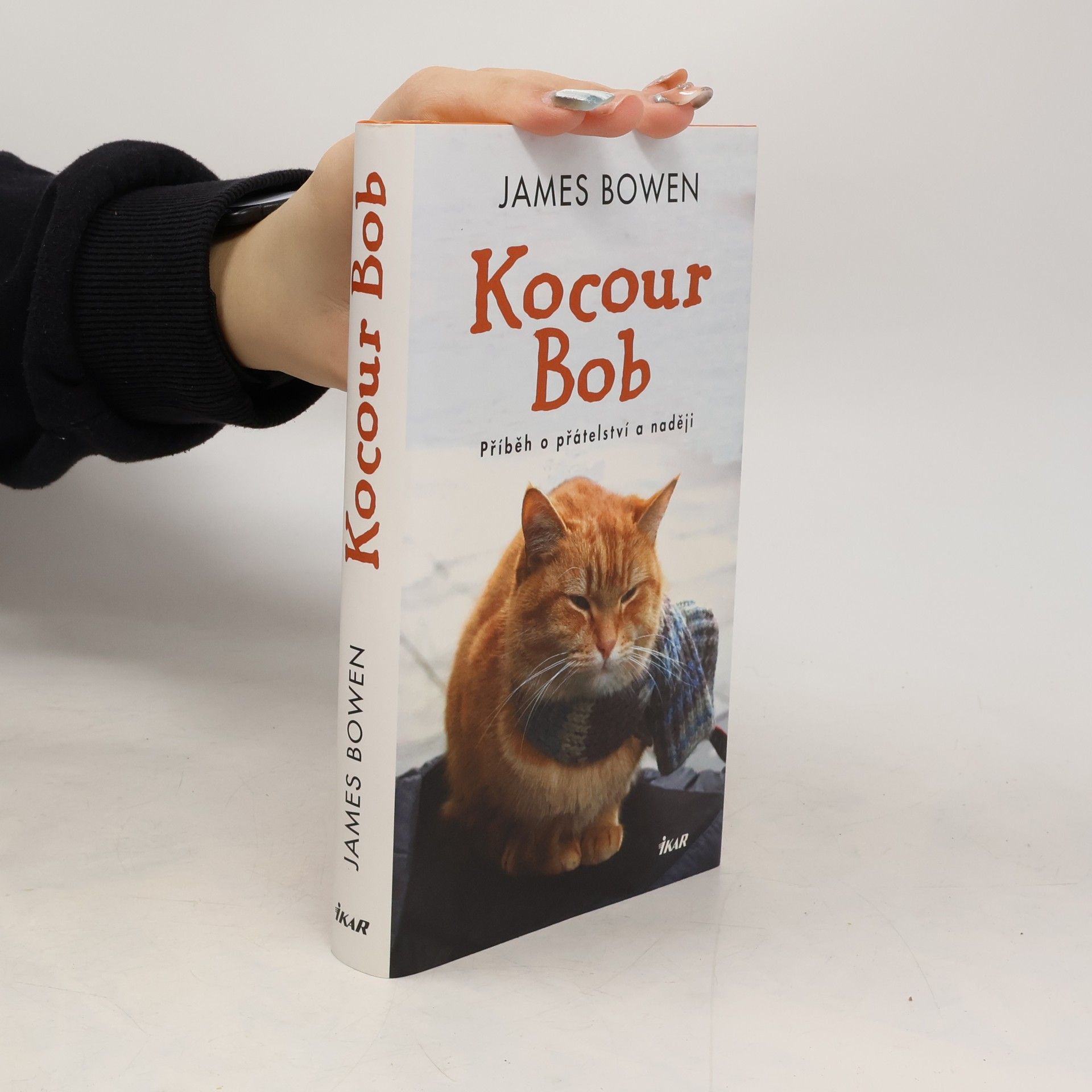 James Bowen Kocour Bob