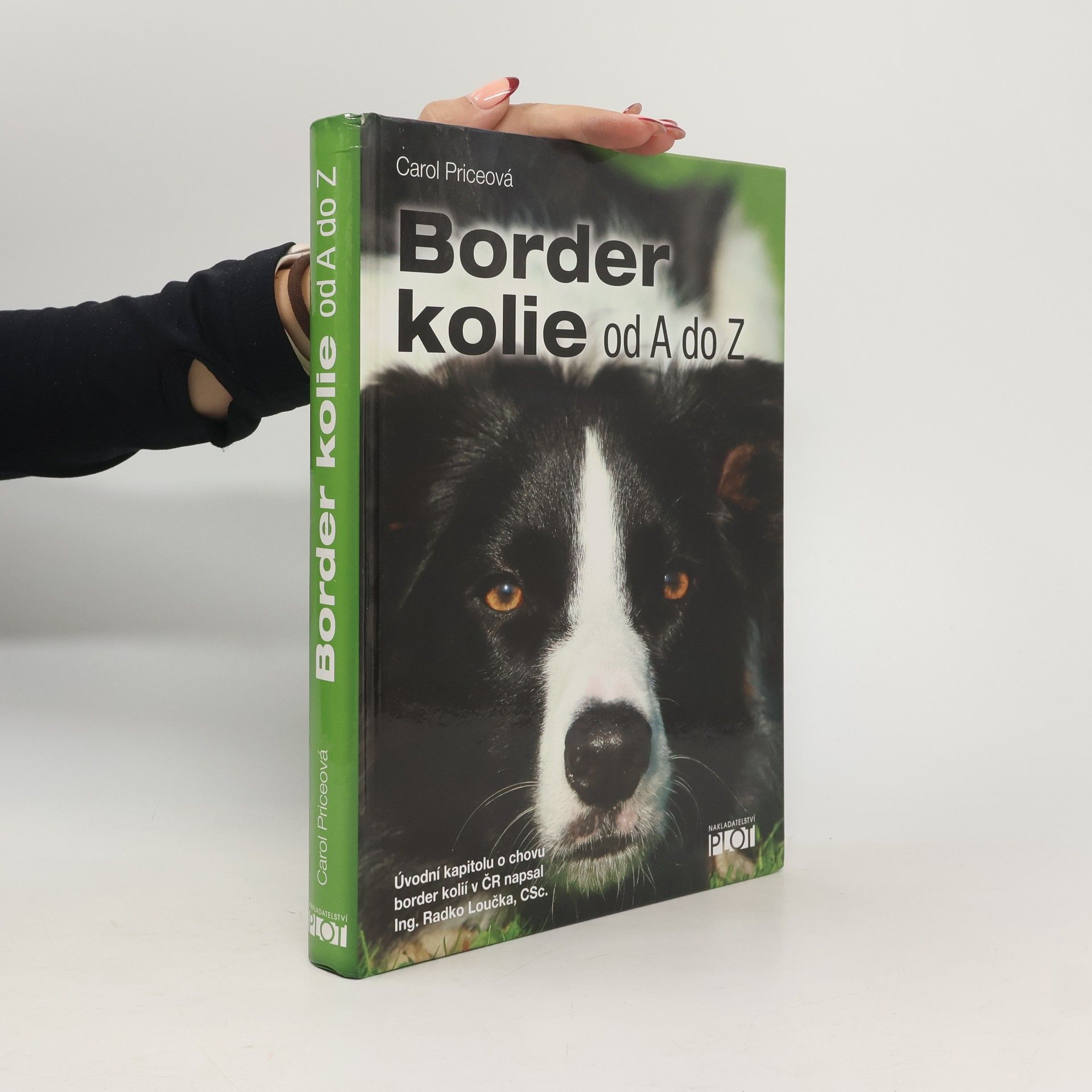 Carol Price Border kolie od A do Z