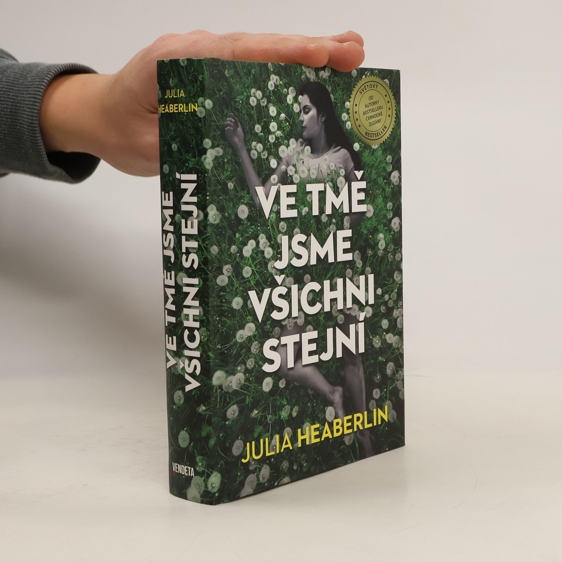 Julia Heaberlin Ve tmě jsme všichni stejní