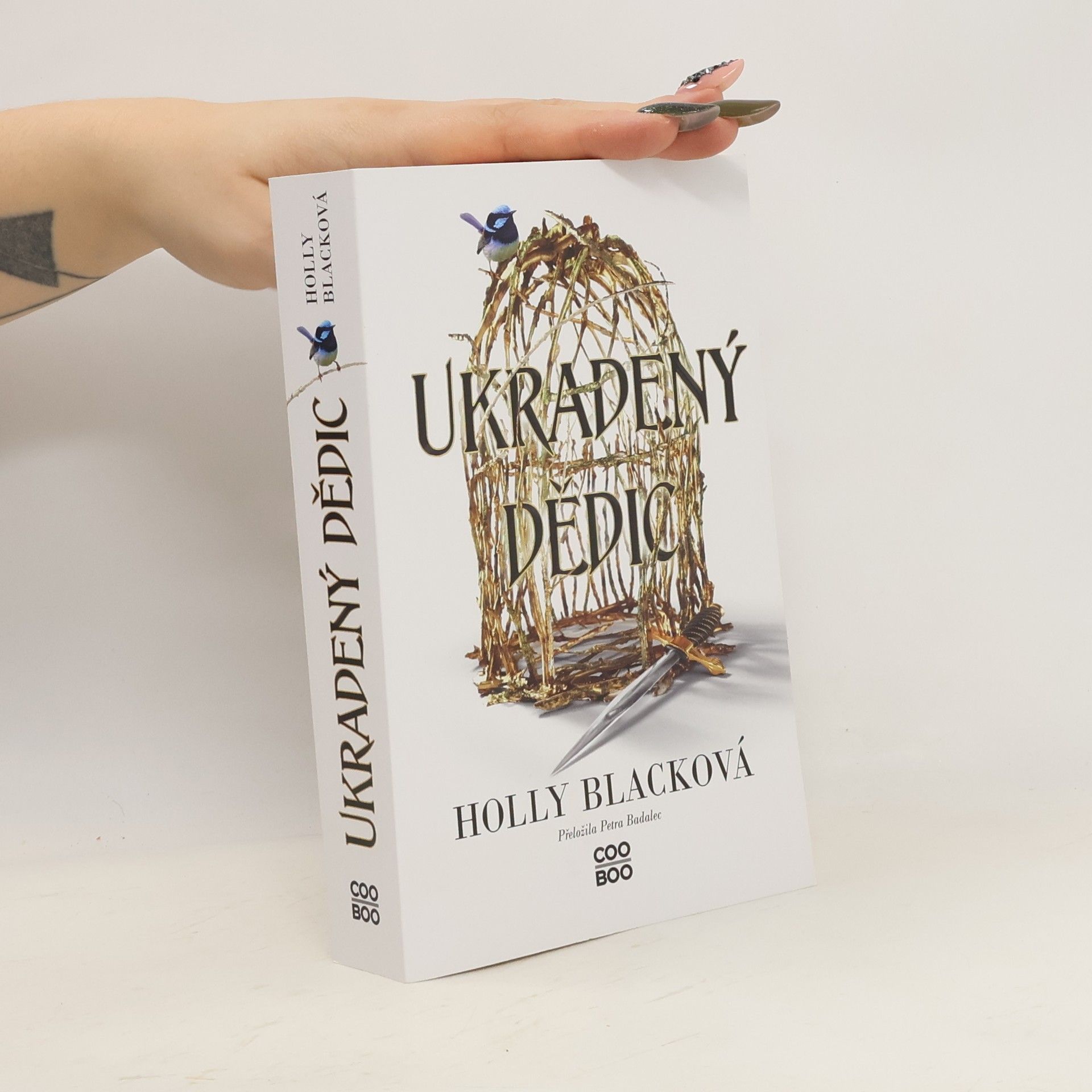 Holly Black Ukradený dědic