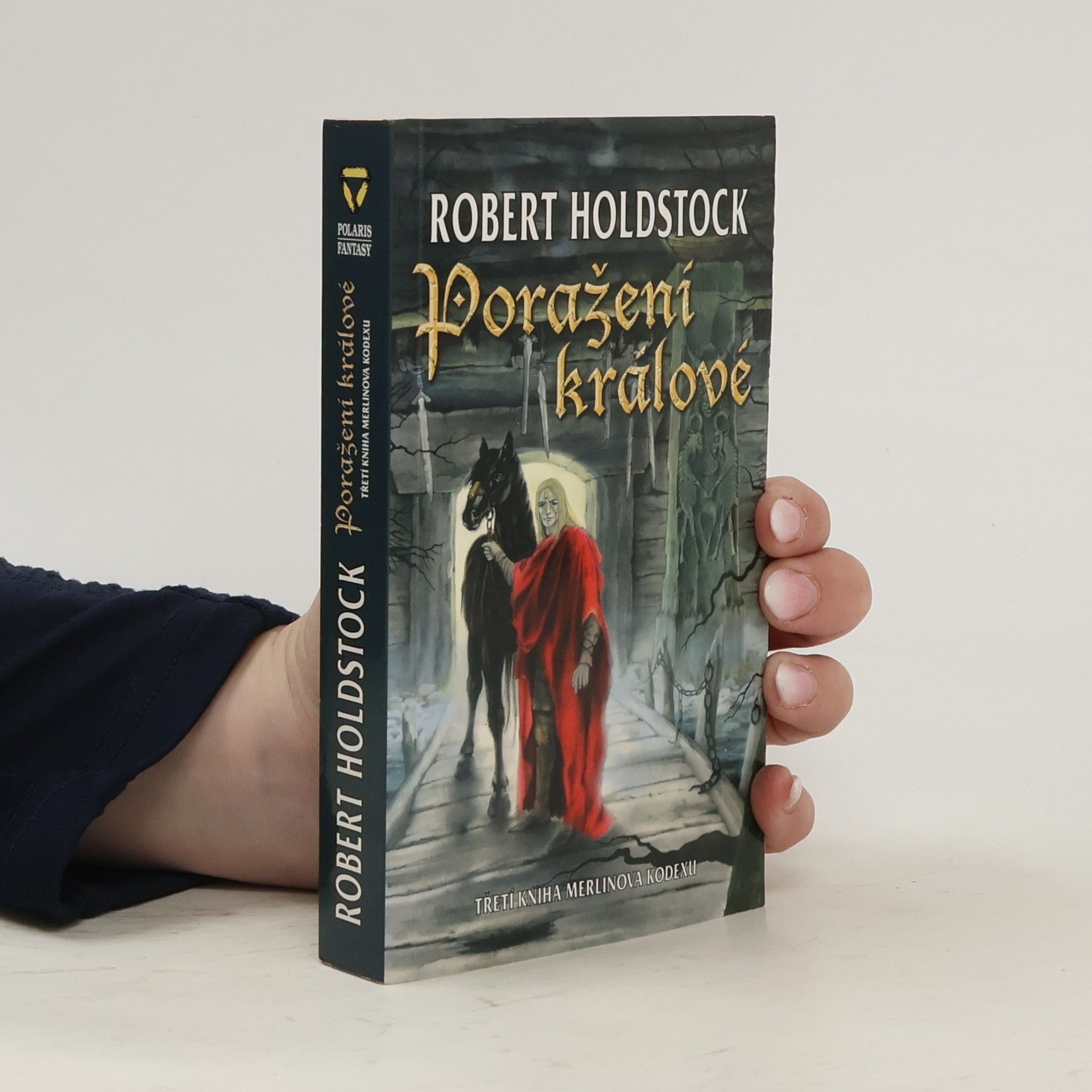 Robert Holdstock Poražení králové : třetí kniha Merlinova kodexu