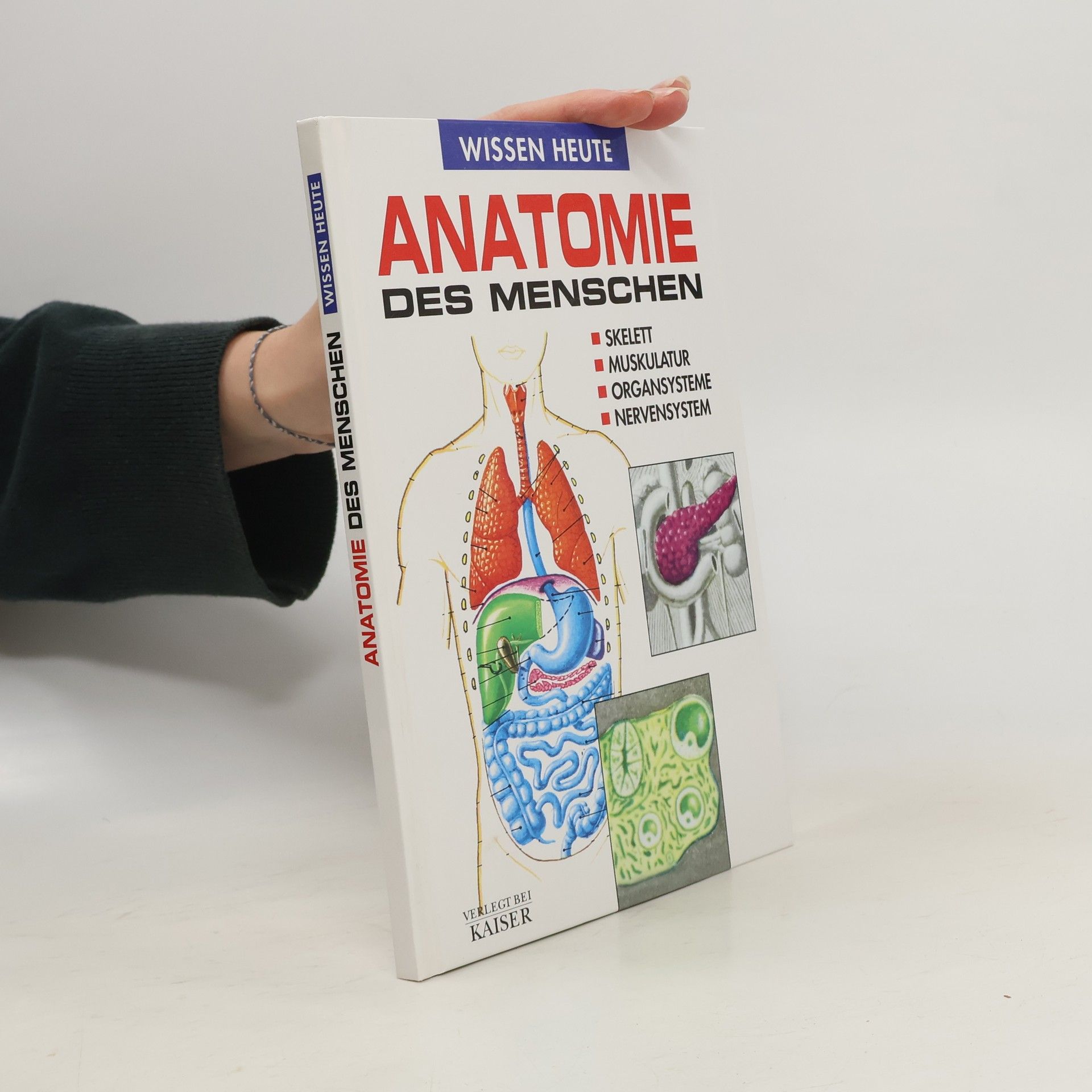 Autorenkollektiv Anatomie des menschen