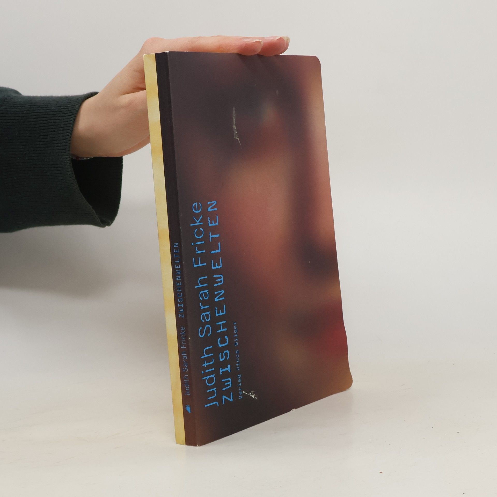 Judith Sarah Fricke Zwischenwelten